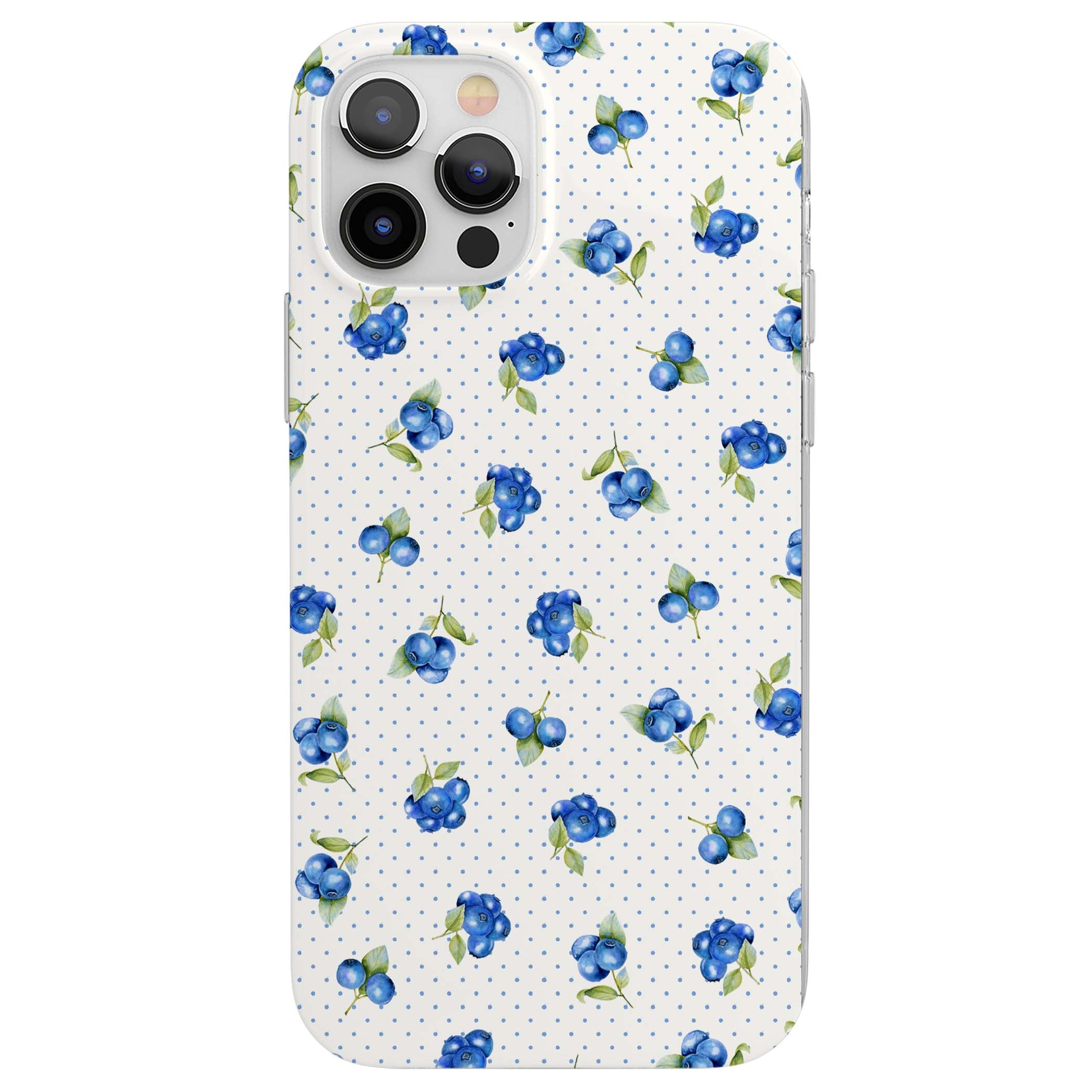 CLEAR CASE