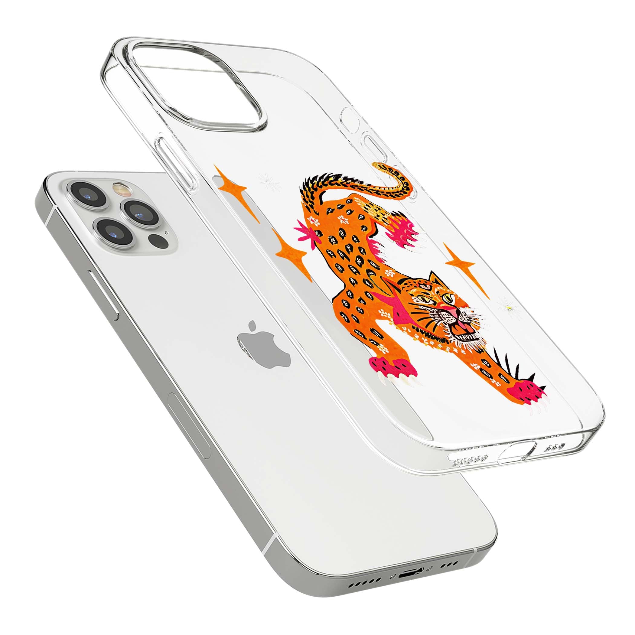 CLEAR CASE