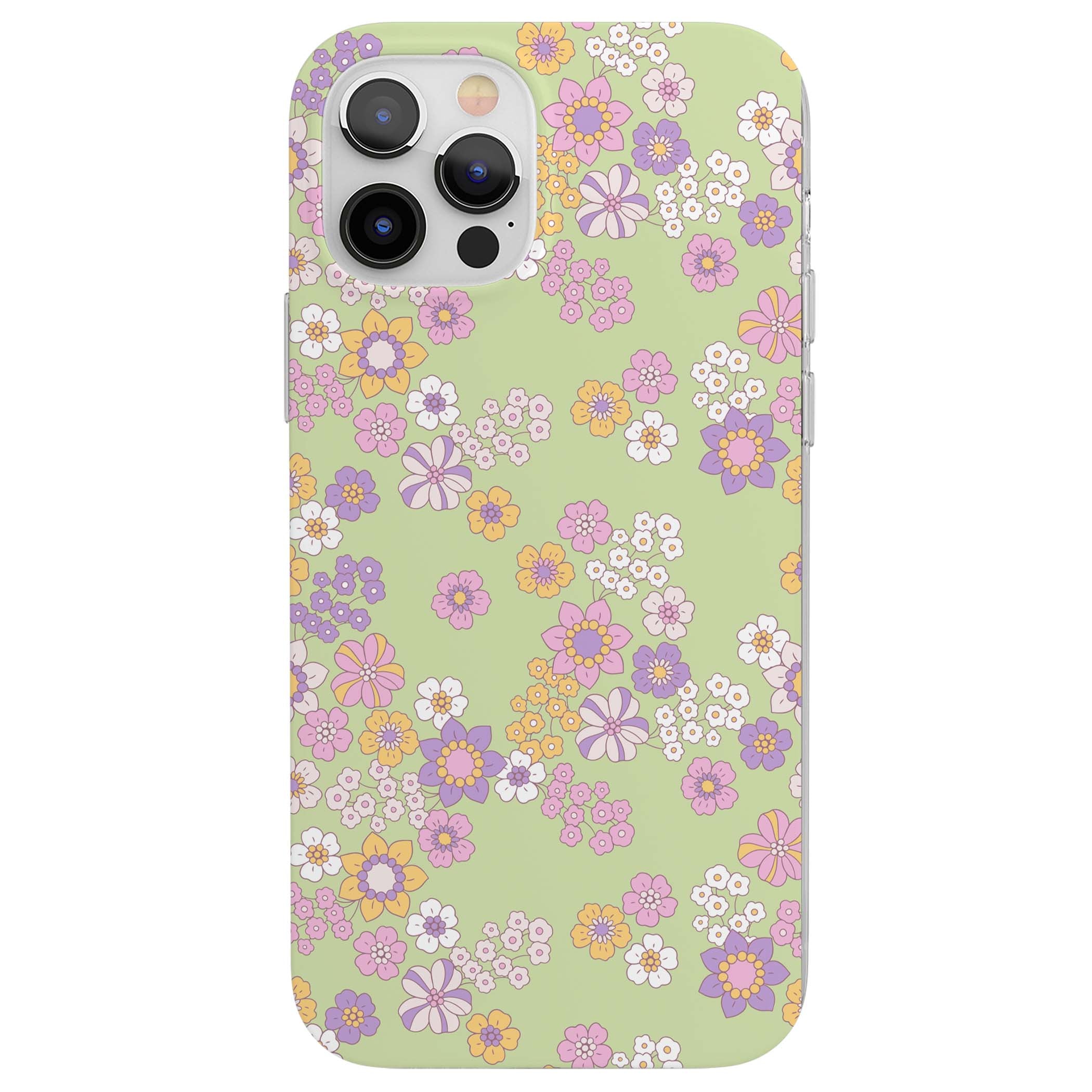 CLEAR CASE