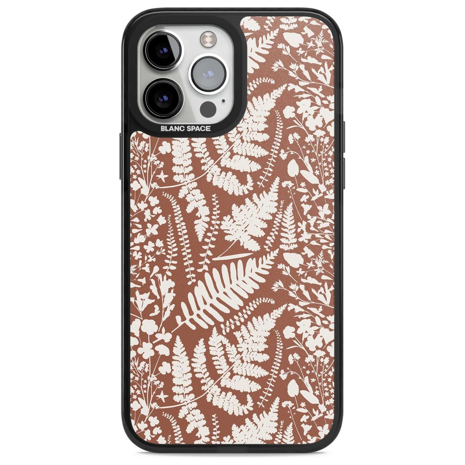 Wildflowers And Ferns On Terracotta