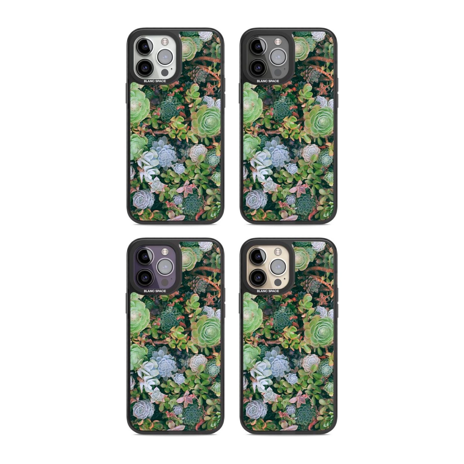 Colourful Succulents Phone Case iPhone 15 Pro Max / Black Impact Case,iPhone 15 Plus / Black Impact Case,iPhone 15 Pro / Black Impact Case,iPhone 15 / Black Impact Case,iPhone 15 Pro Max / Impact Case,iPhone 15 Plus / Impact Case,iPhone 15 Pro / Impact Case,iPhone 15 / Impact Case,iPhone 15 Pro Max / Magsafe Black Impact Case,iPhone 15 Plus / Magsafe Black Impact Case,iPhone 15 Pro / Magsafe Black Impact Case,iPhone 15 / Magsafe Black Impact Case,iPhone 14 Pro Max / Black Impact Case,iPhone 14 Plus / Black