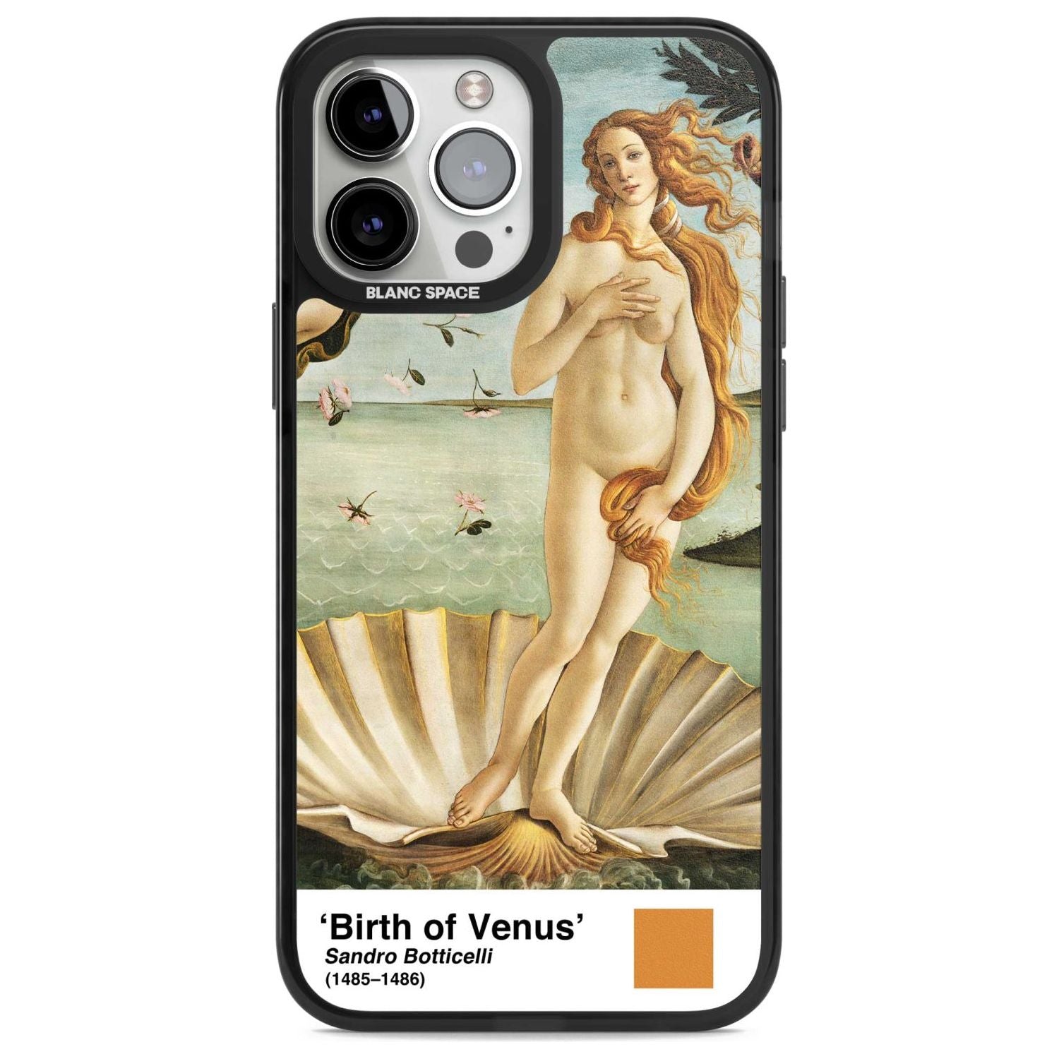 The Birth Of Venus