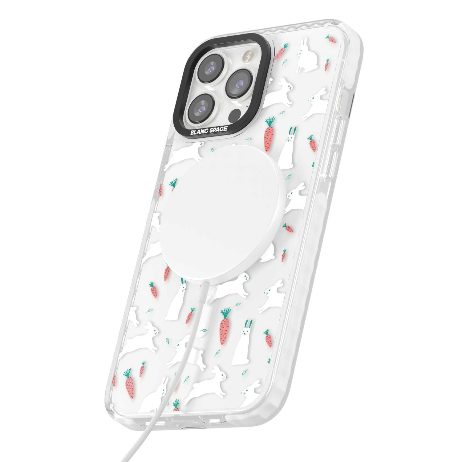 White Bunnies And Carrots