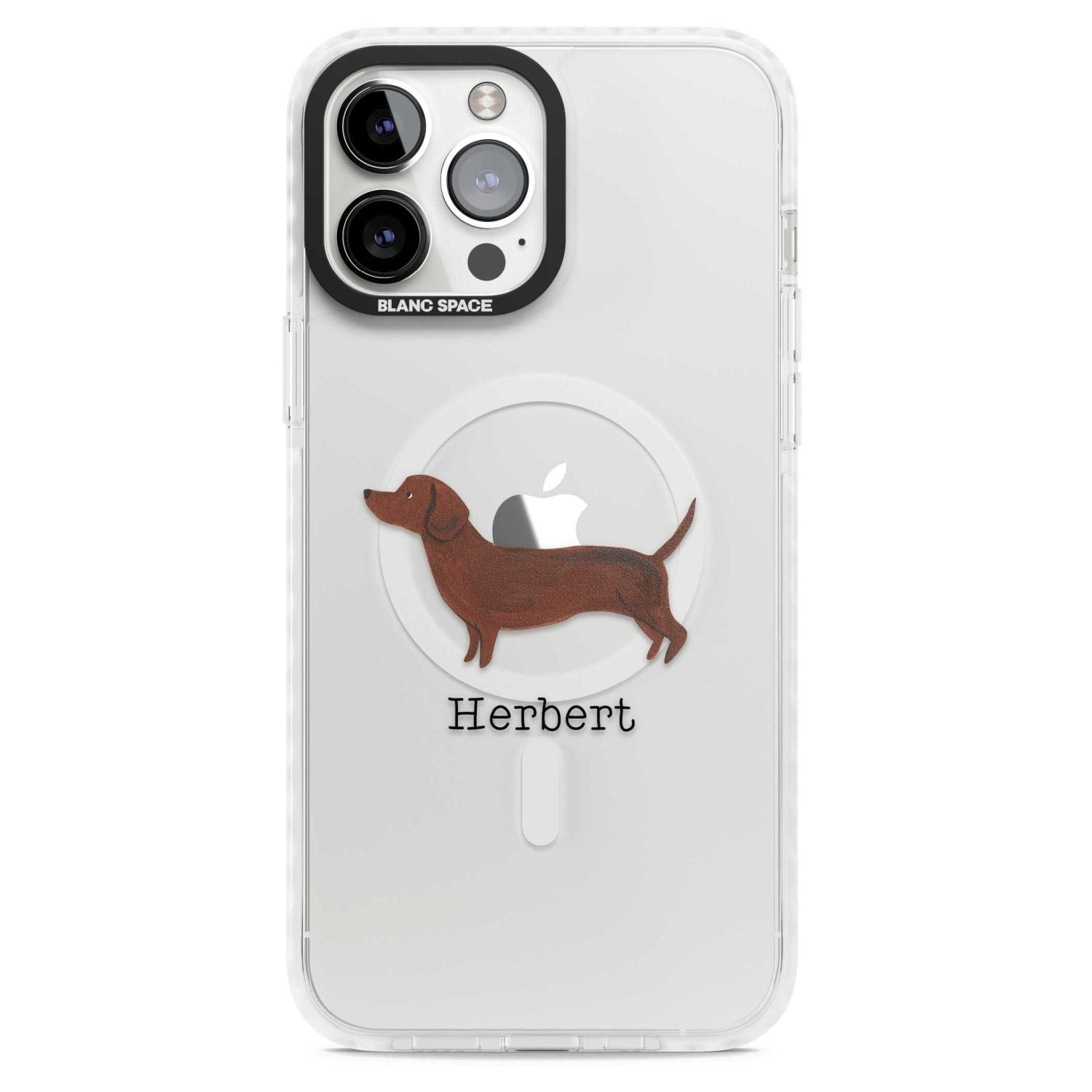 Personalised Sausage Dog