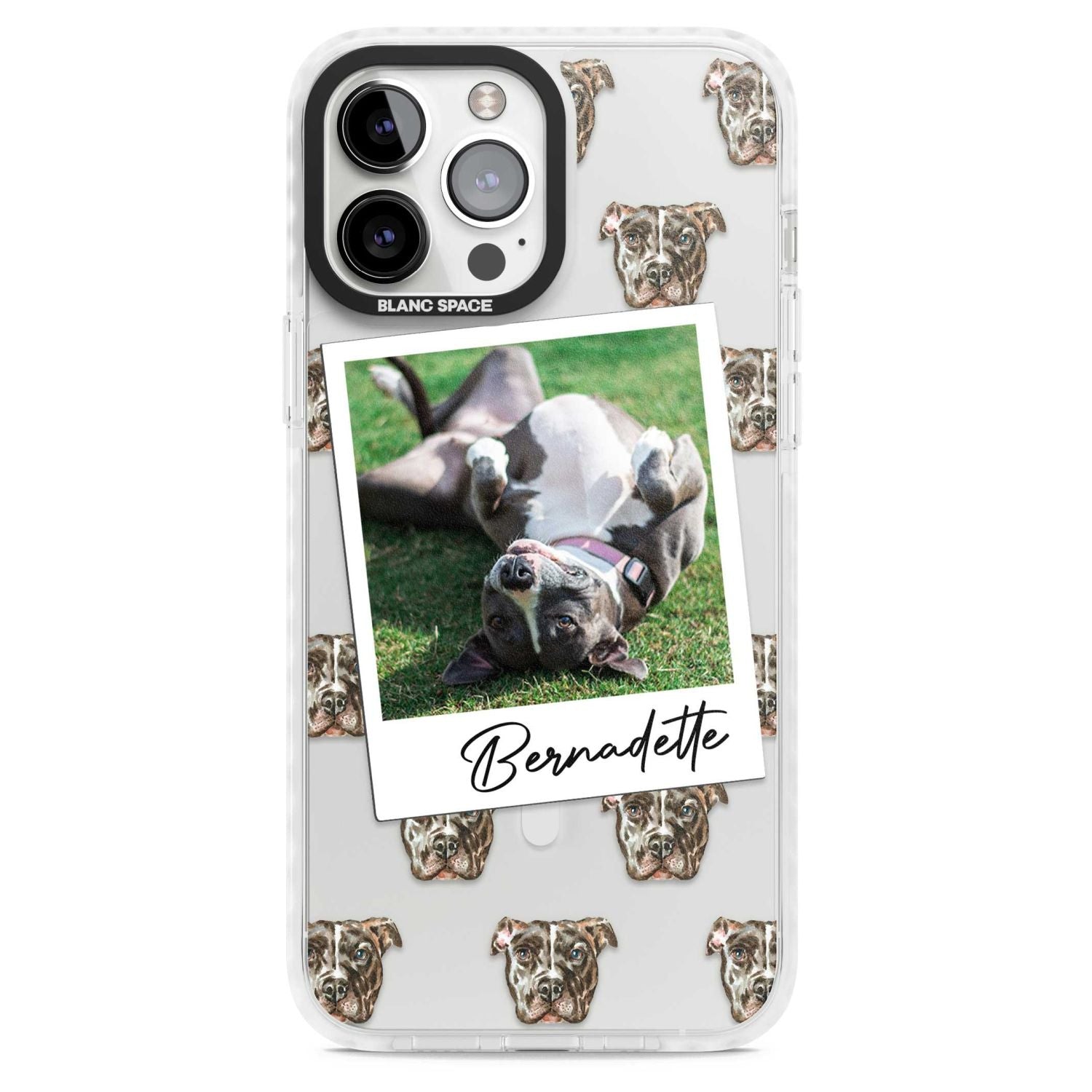 Personalised Staffordshire Bull Terrier Instant Camera Photo