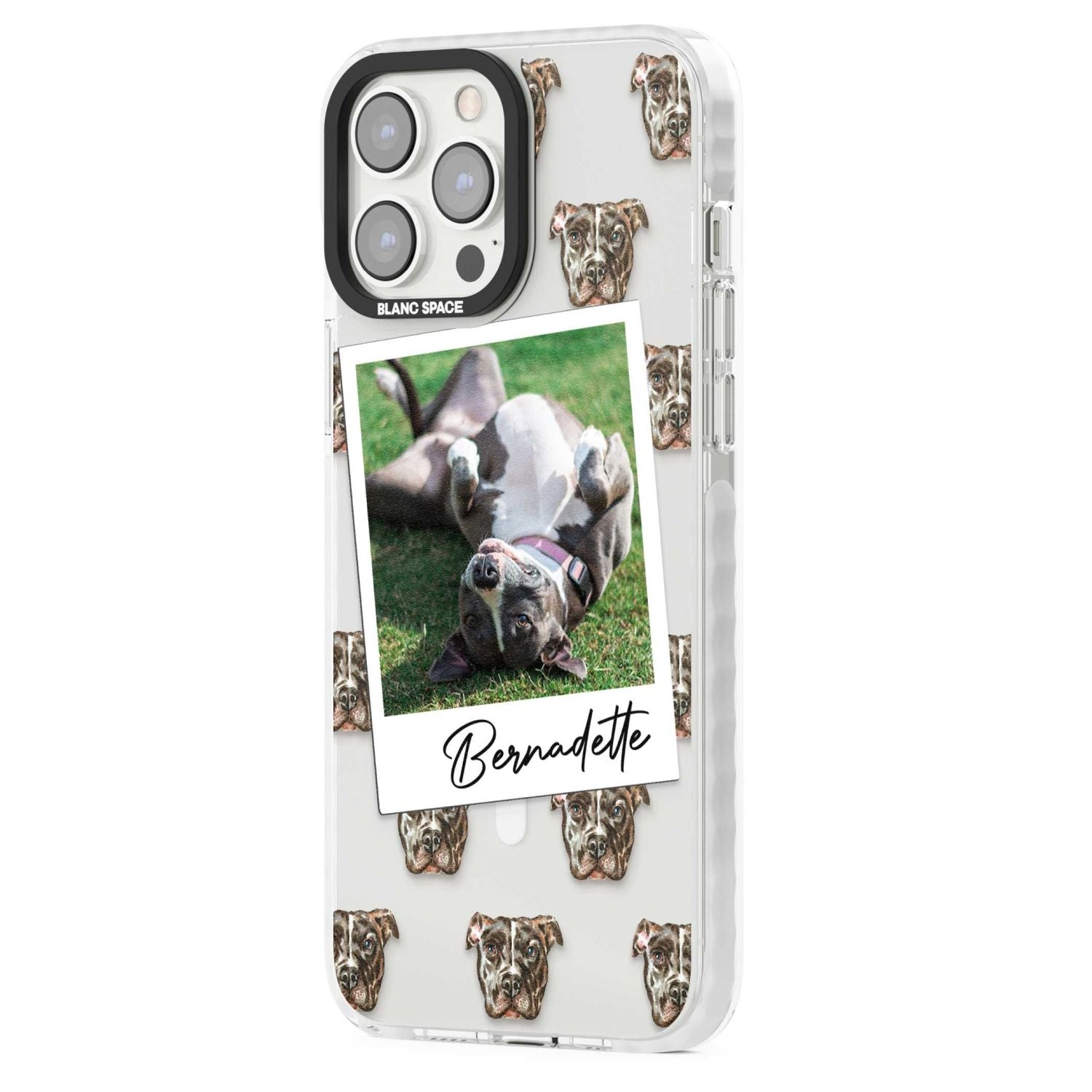 Personalised Staffordshire Bull Terrier Instant Camera Photo