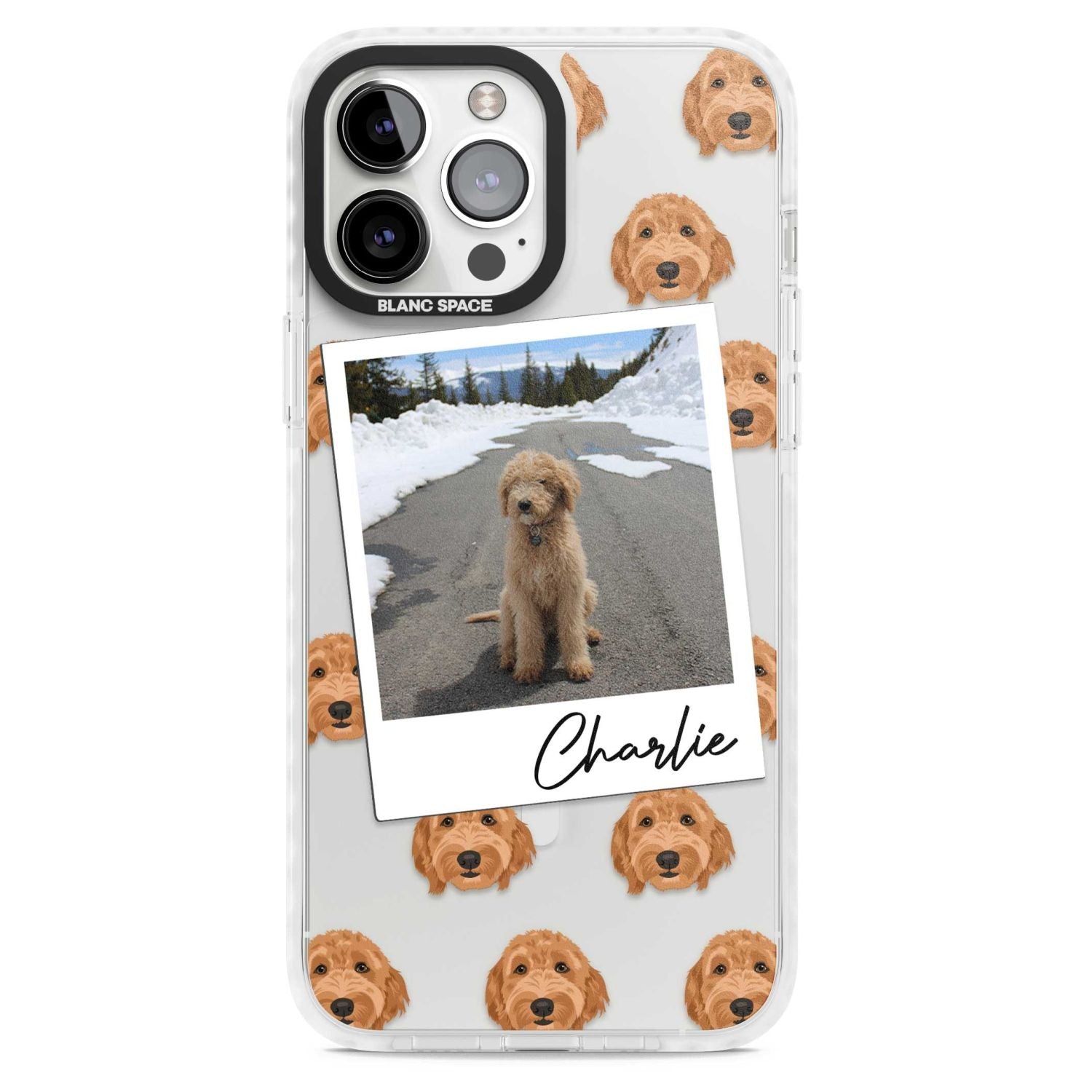 Personalised Golden Doodle Dog Photo