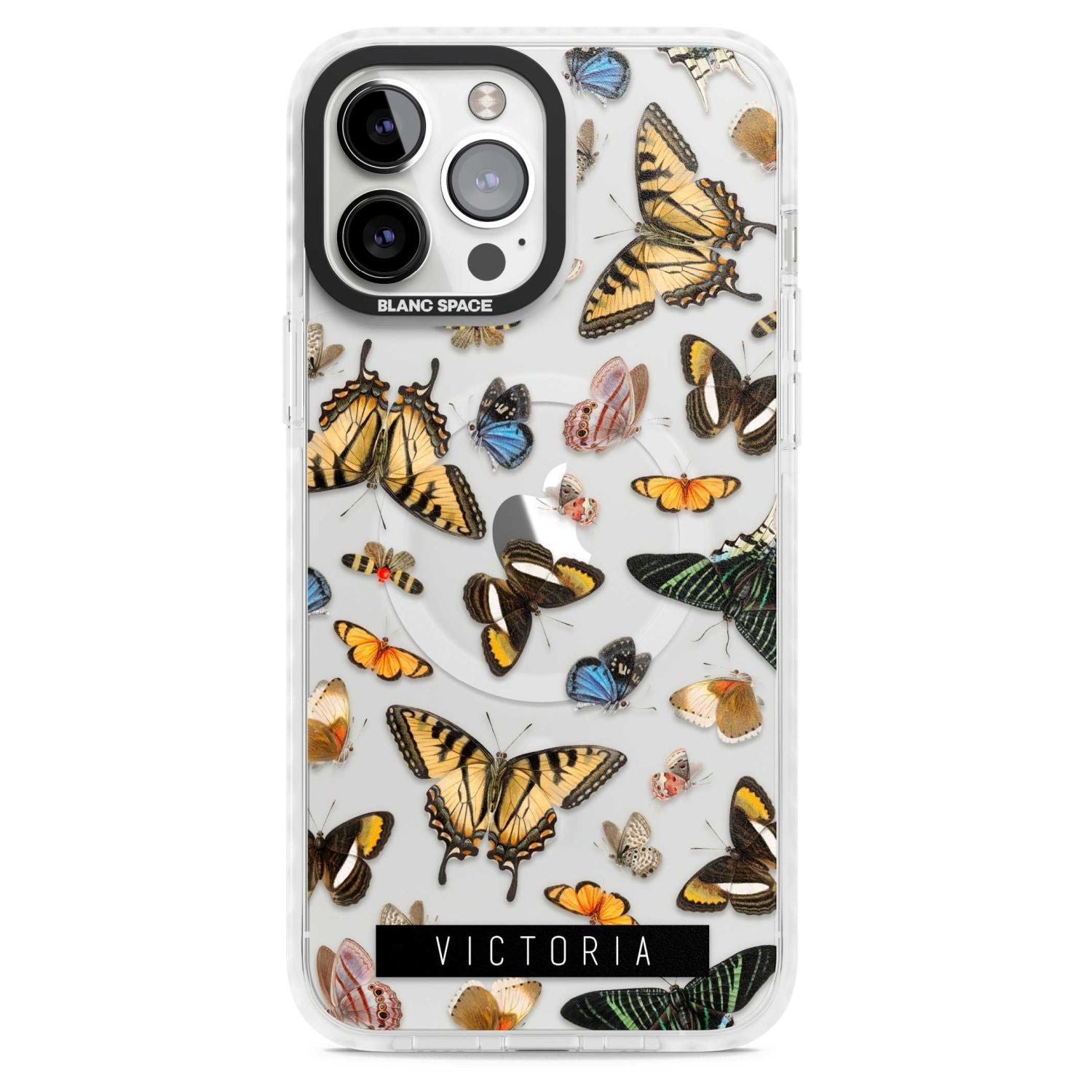 Personalised Butterfly Archive