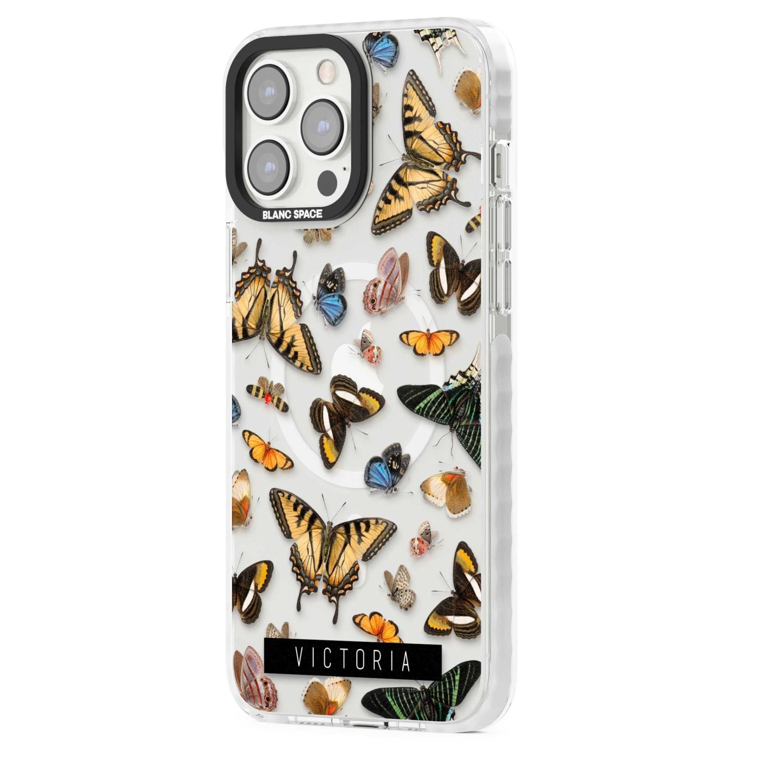 Personalised Butterfly Archive
