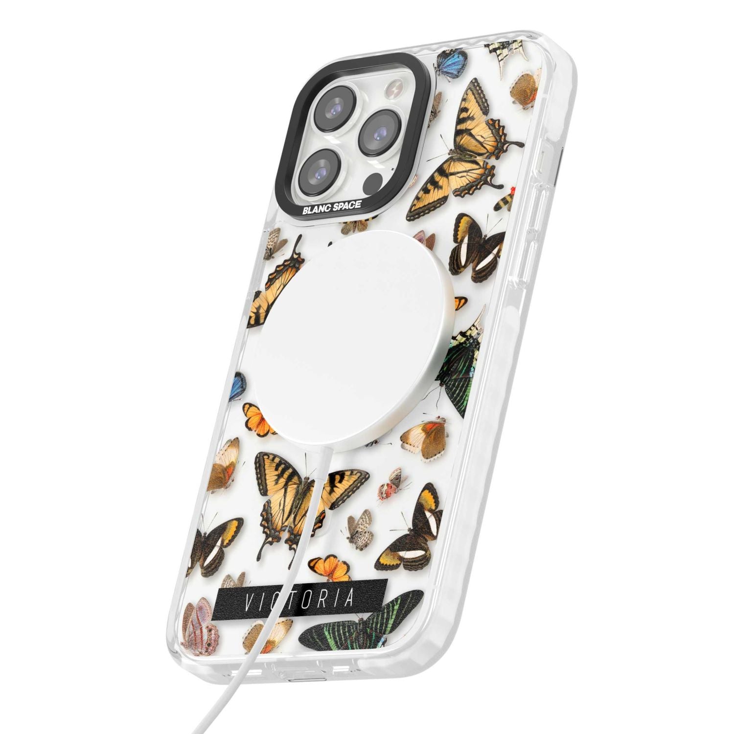 Personalised Butterfly Archive