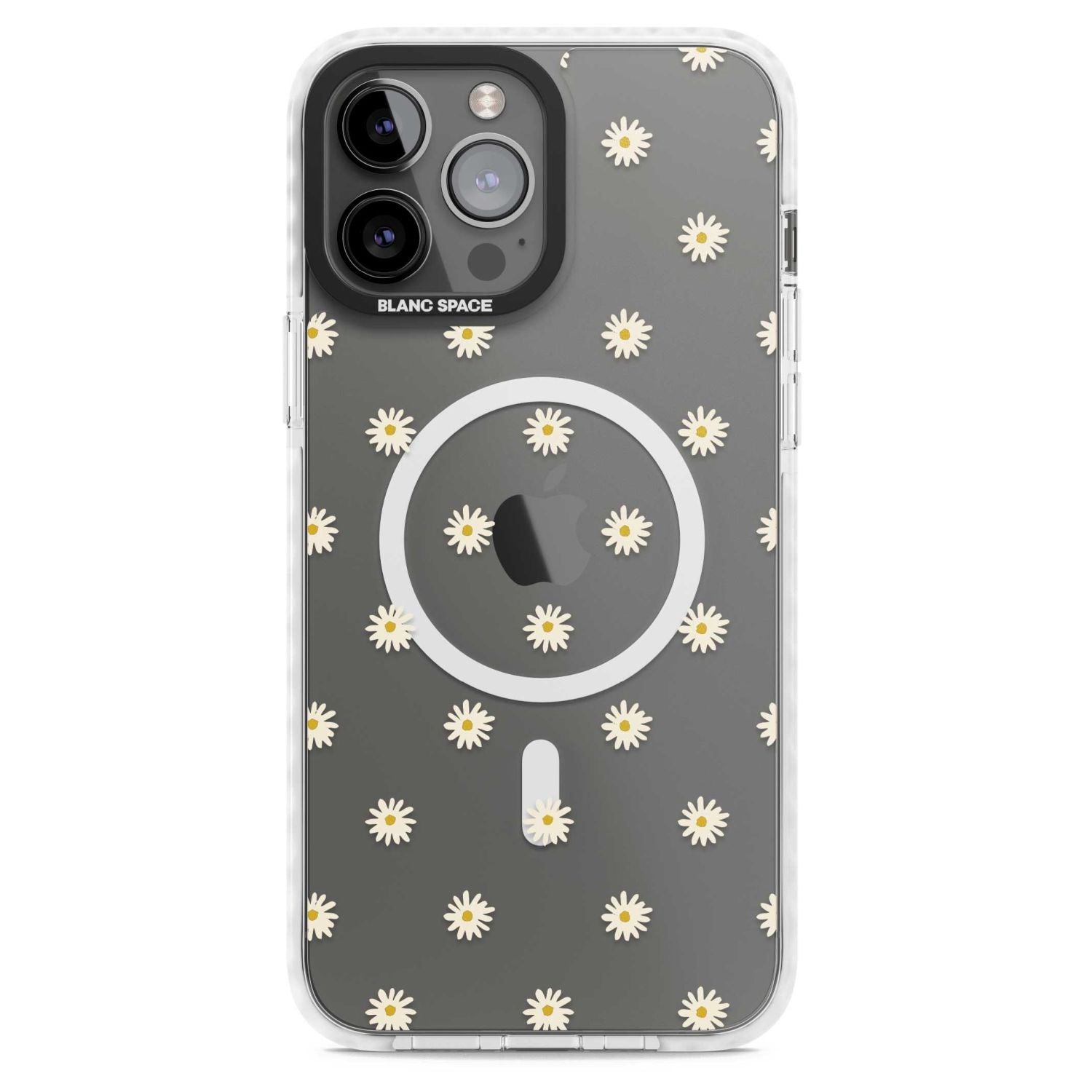 Daisy Pop Floral