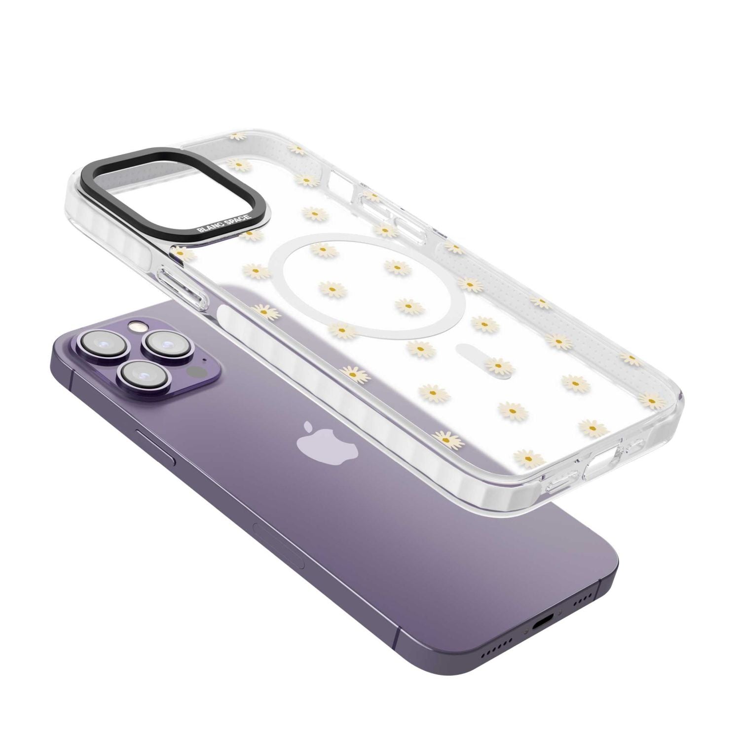 Daisy Pop Floral