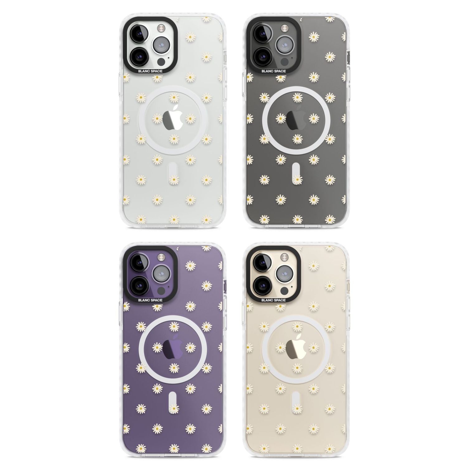 Daisy Pop Floral