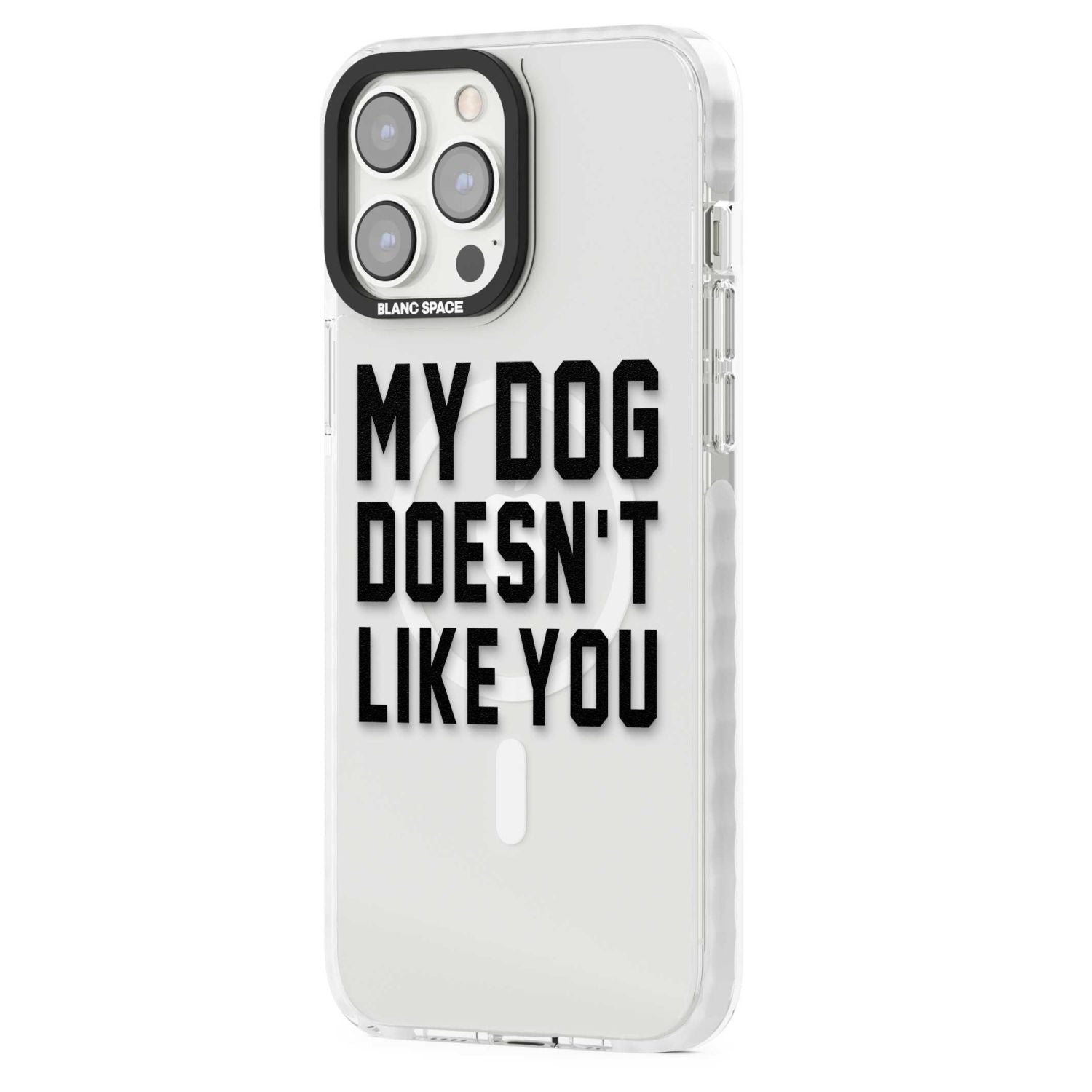 My Dog Doesn'T Like You