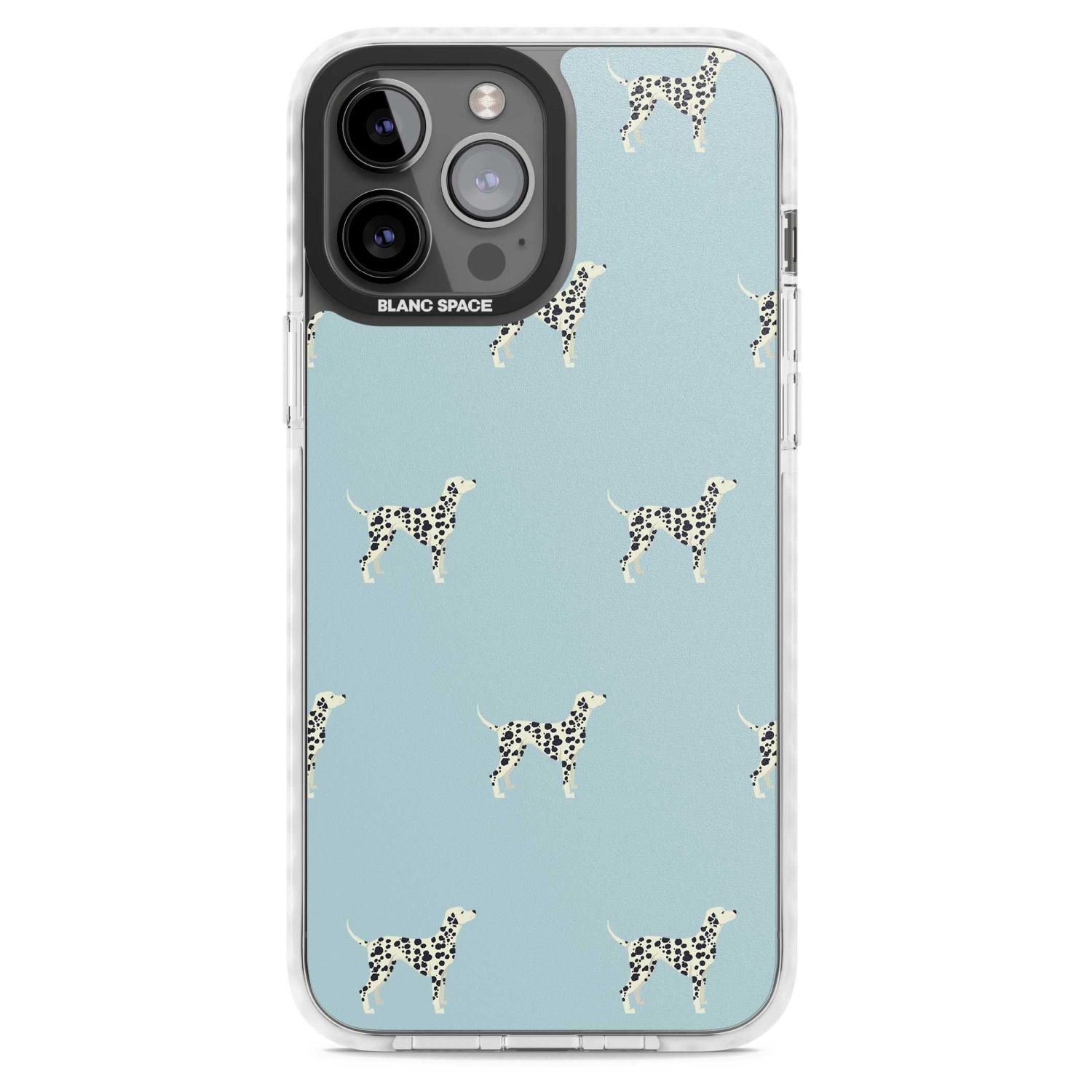 Dalmatian Pattern