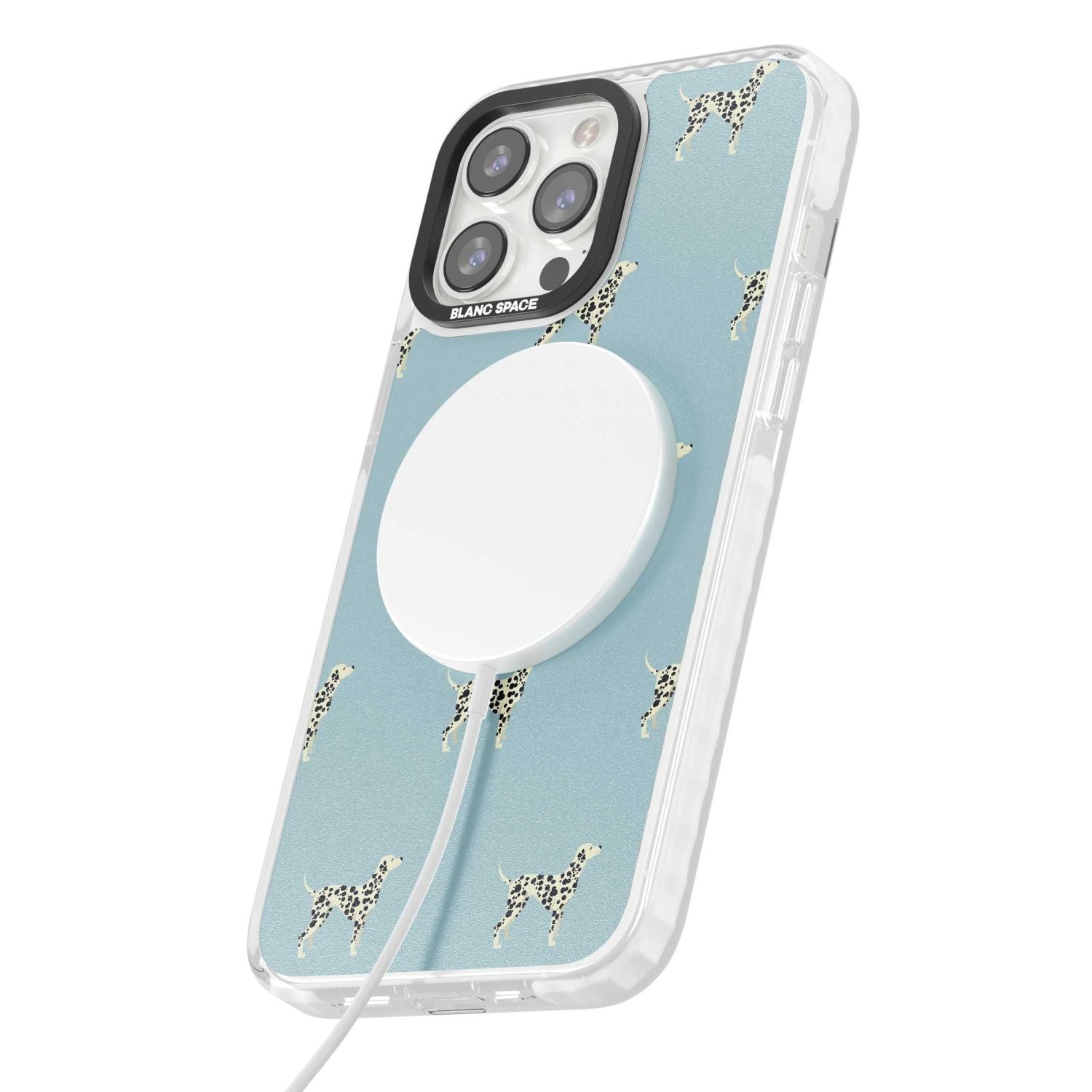 Dalmatian Pattern