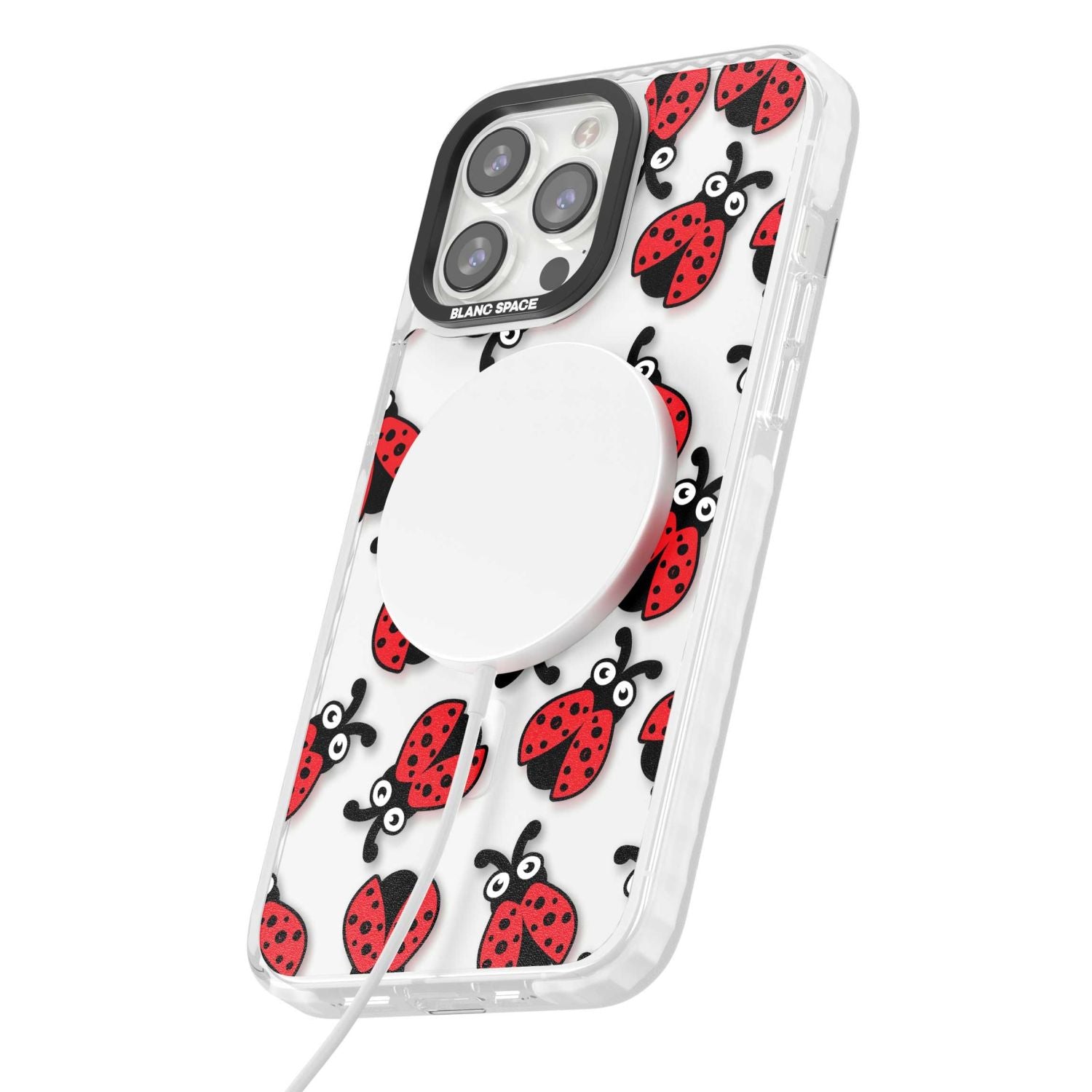 Ladybug Pattern