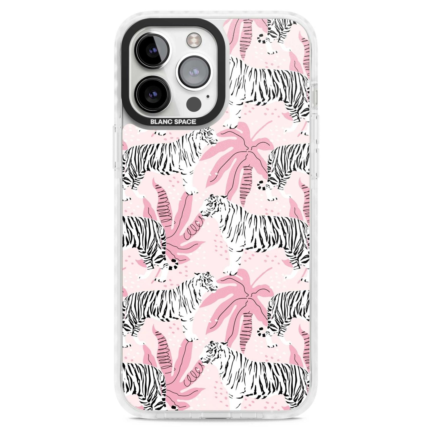 Pink Tiger Palm