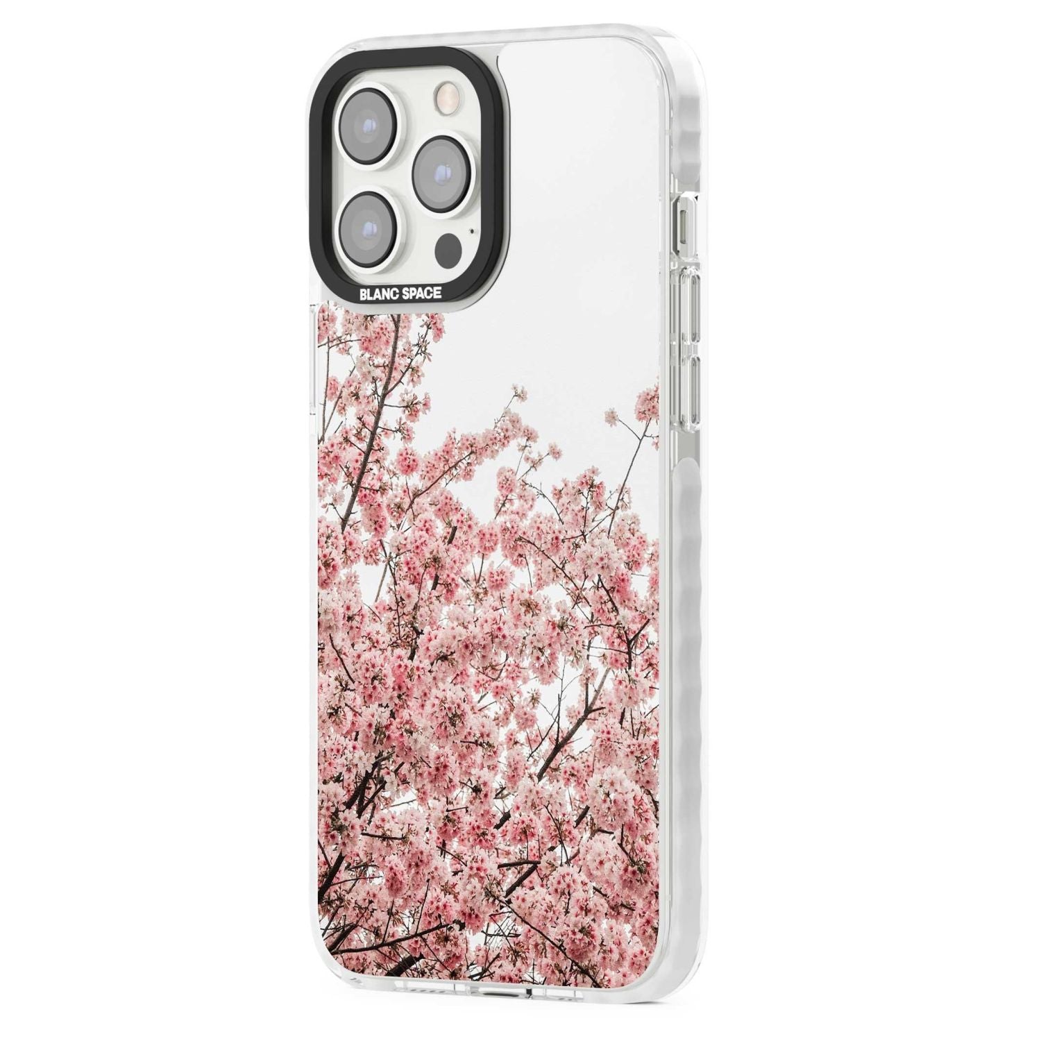 Cherry Blossom Bloom