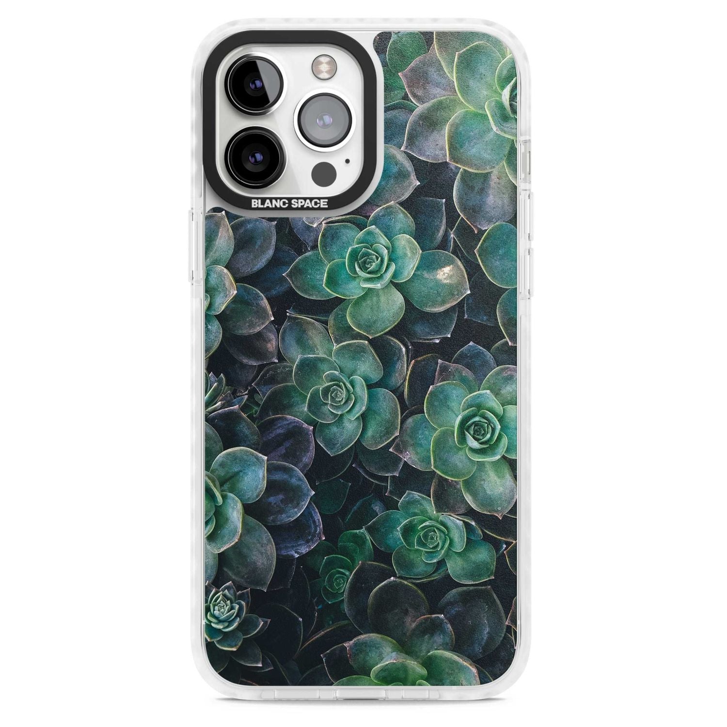 Succulent Bloom Botanical