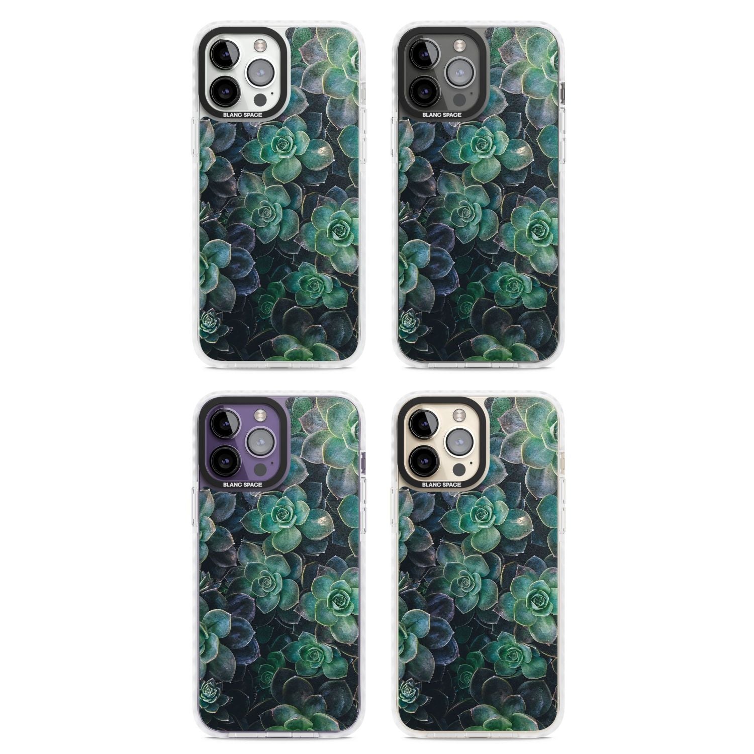 Succulent Bloom Botanical