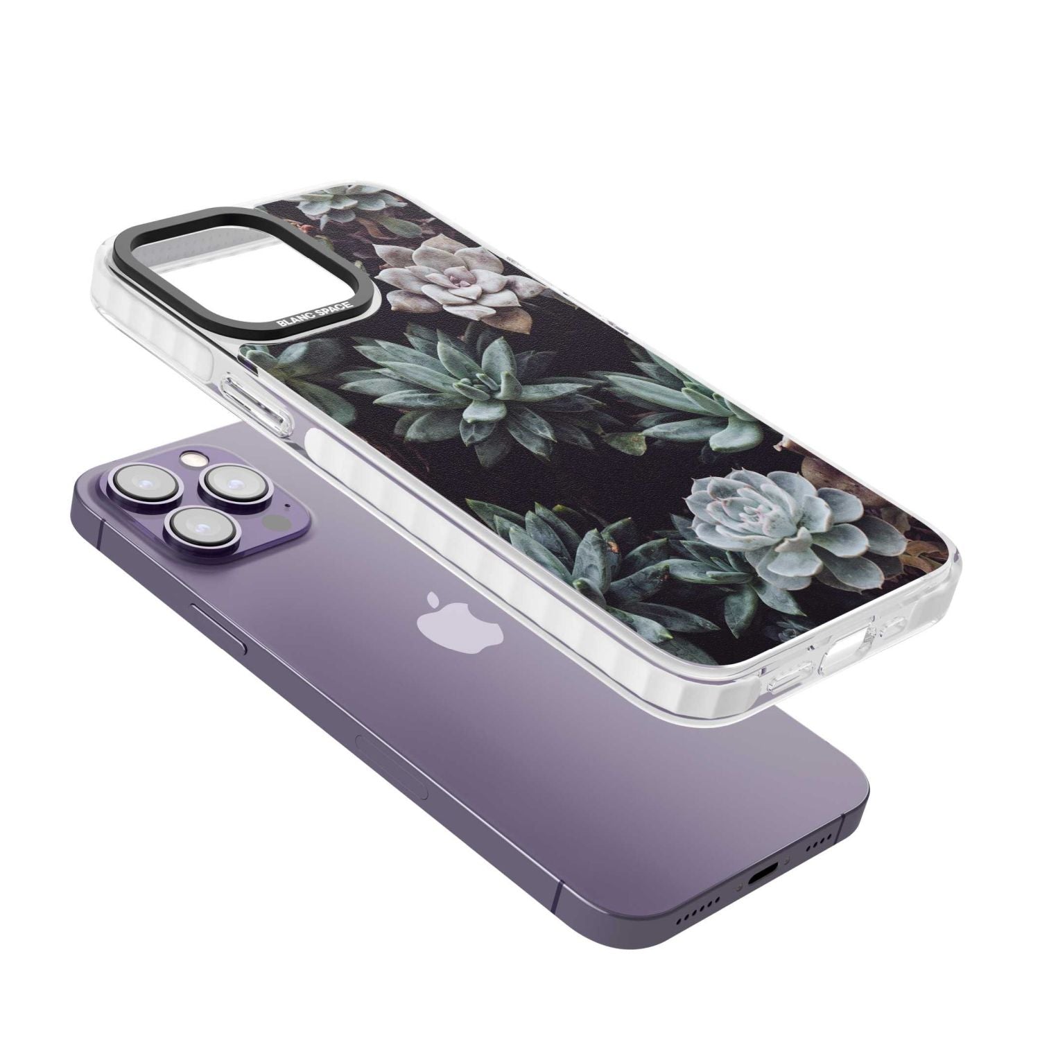 Succulent Bloom Mixed