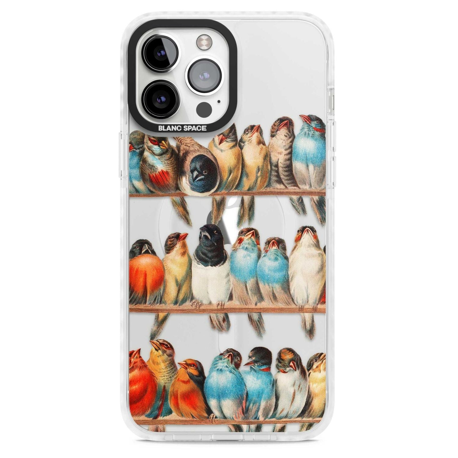 A Perch Of Birds