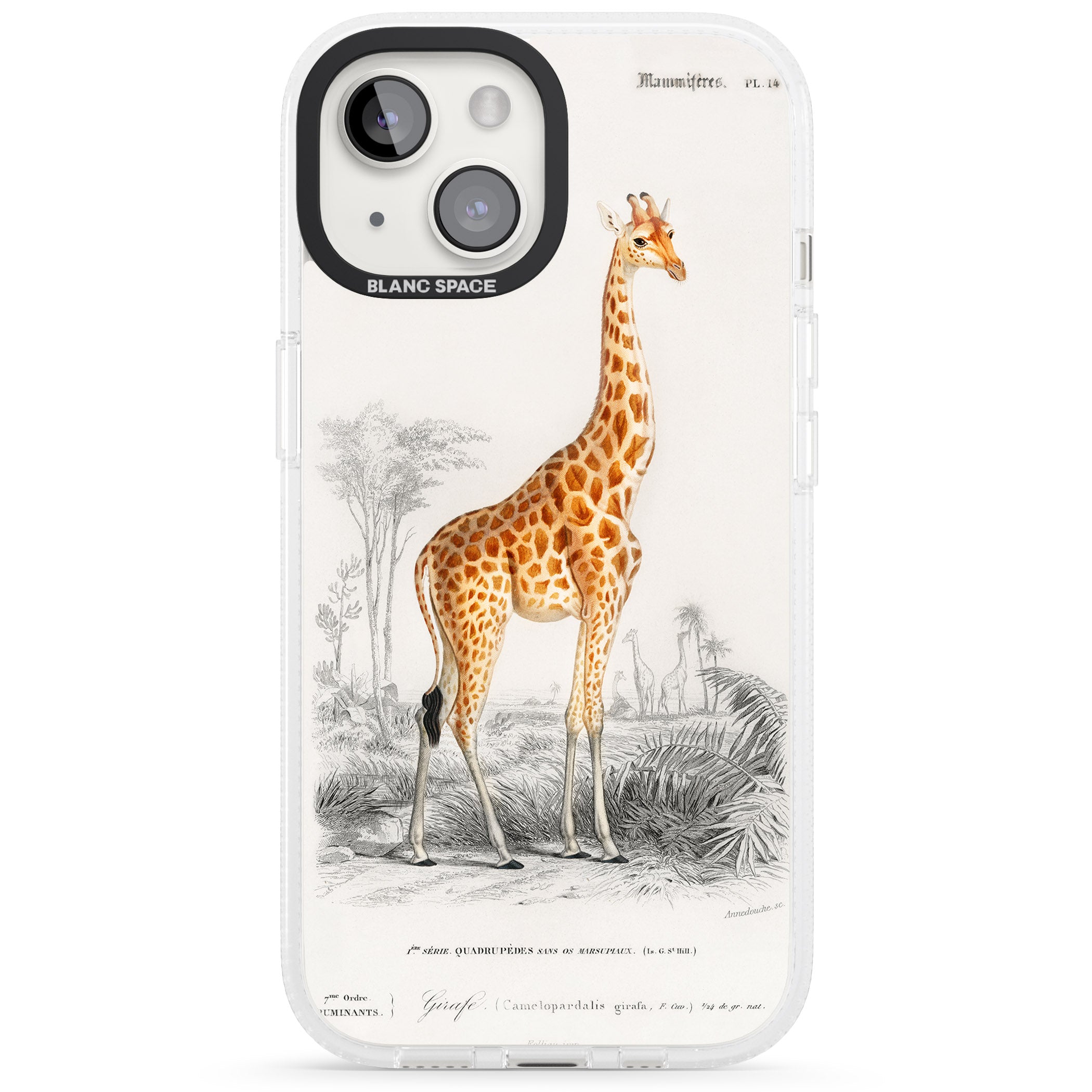 Vintage Giraffe Art iPhone 15 / 14 / 13 Clear Case Impact Air - Blanc Space