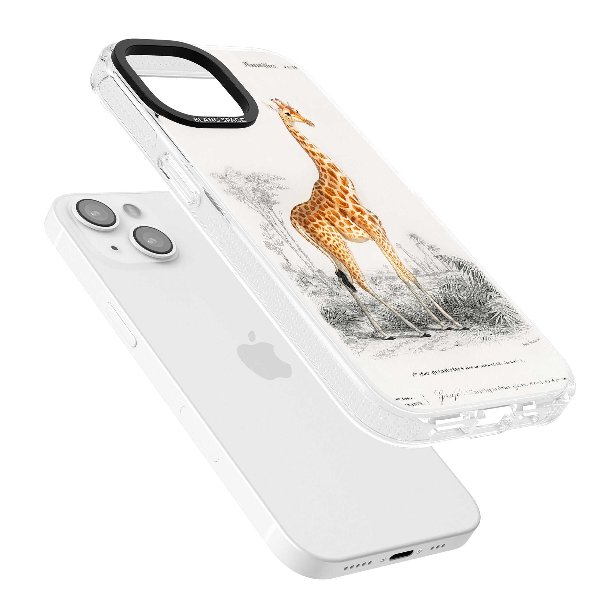 Vintage Giraffe Art iPhone 15 / 14 / 13 Clear Case Impact Air - Blanc Space
