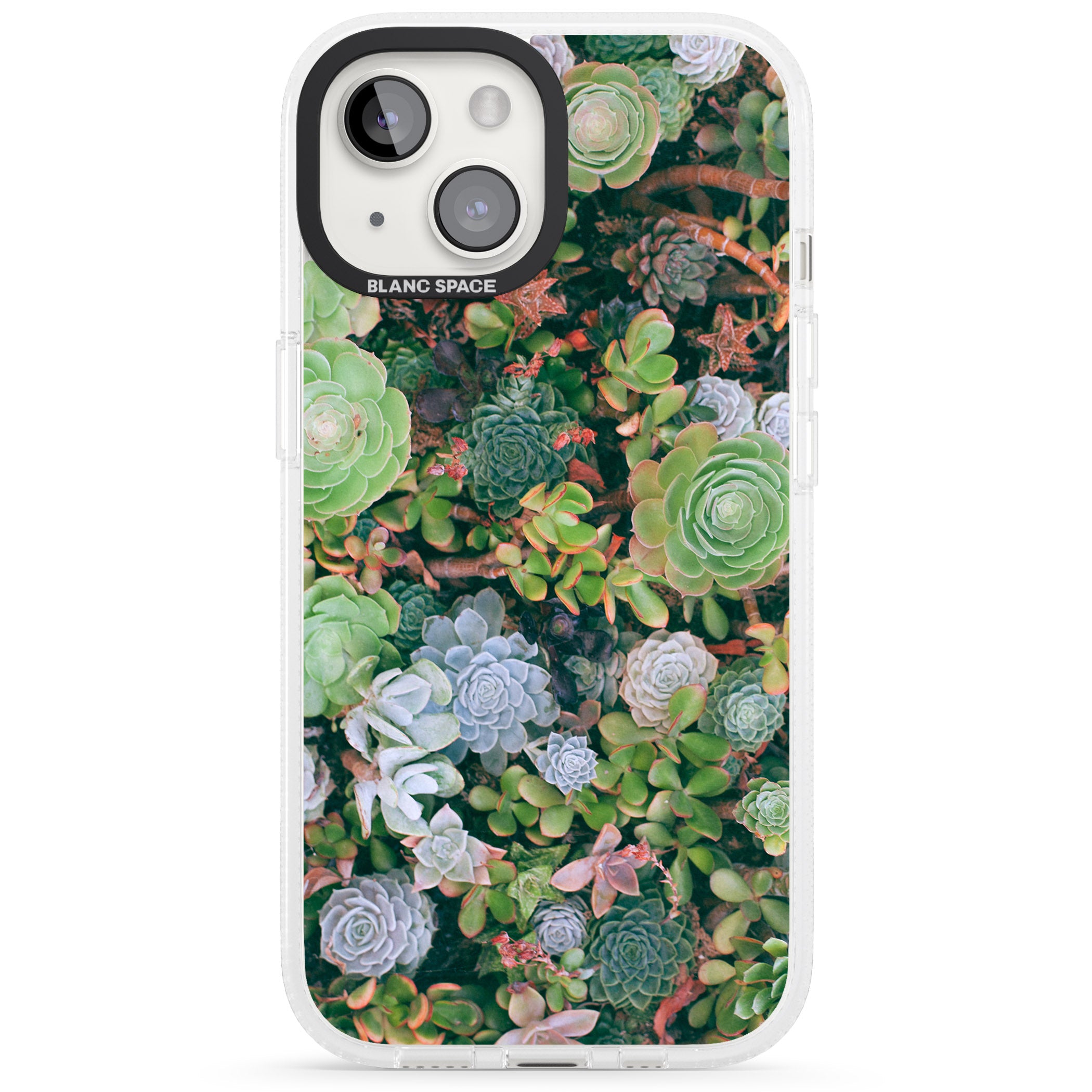 Colourful Succulents Photograph iPhone 15 / 14 / 13 Clear Case Impact Air - Blanc Space