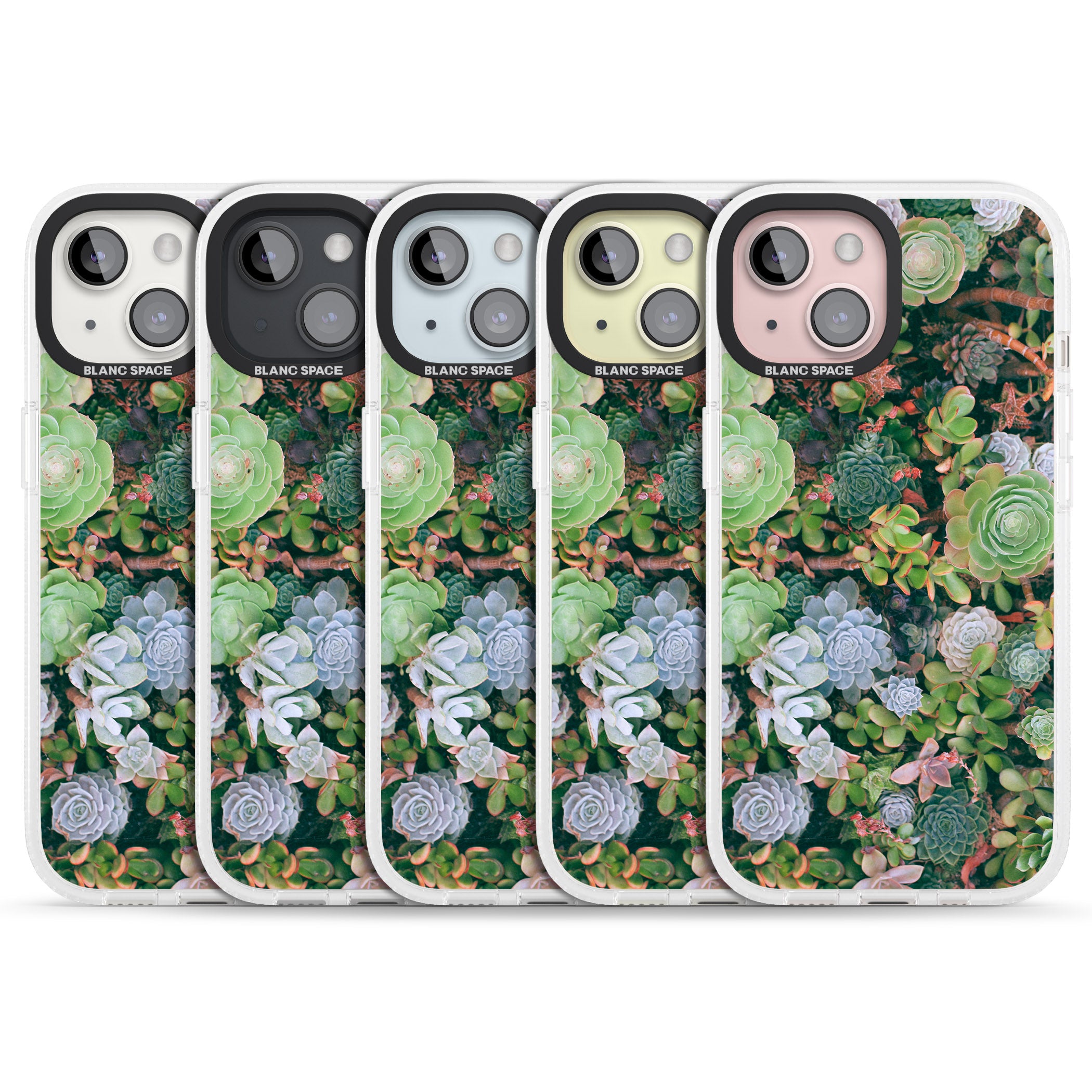 Colourful Succulents Photograph iPhone 15 / 14 / 13 Clear Case Impact Air - Blanc Space
