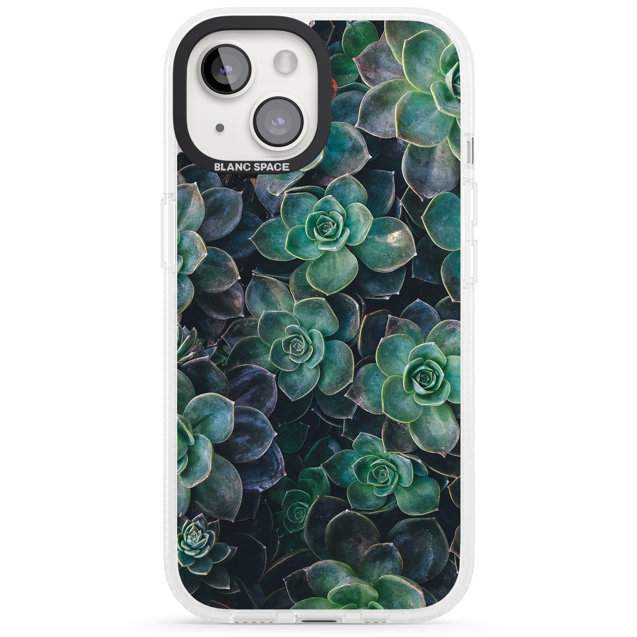 Succulents - Real Botanical Photographs iPhone 15 / 14 / 13 Clear Case Impact Air - Blanc Space