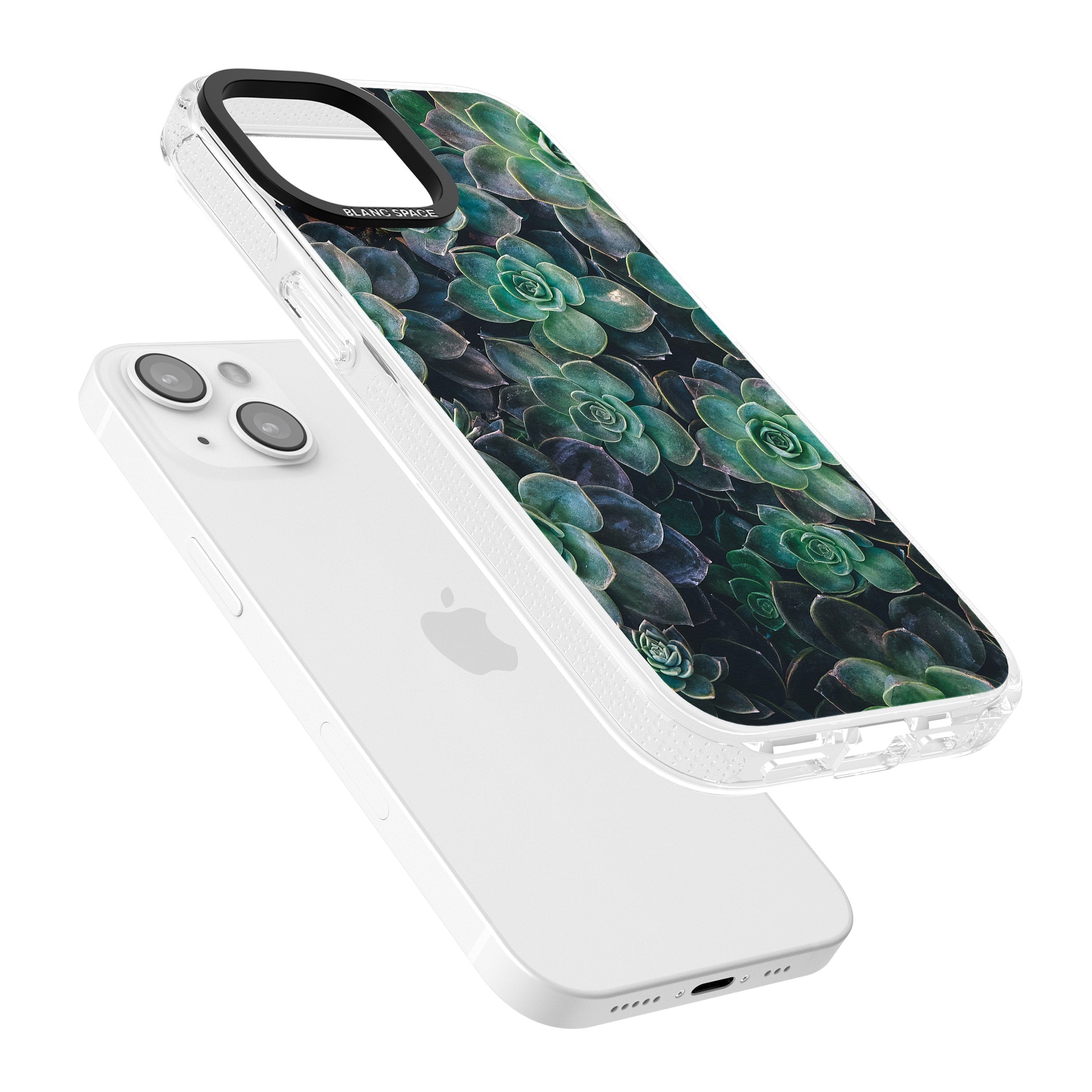 Succulents - Real Botanical Photographs iPhone 15 / 14 / 13 Clear Case Impact Air - Blanc Space