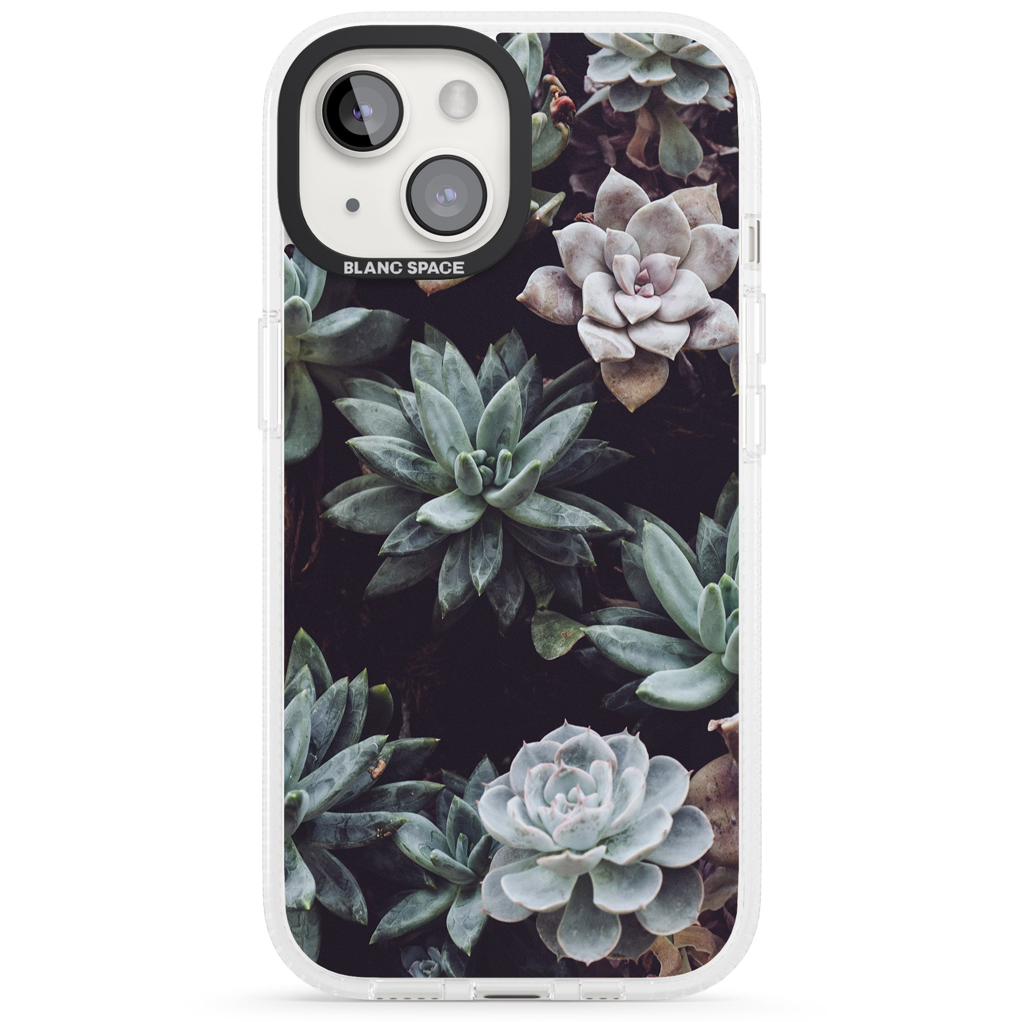 Mixed Succulents - Real Botanical Photographs iPhone 15 / 14 / 13 Clear Case Impact Air - Blanc Space