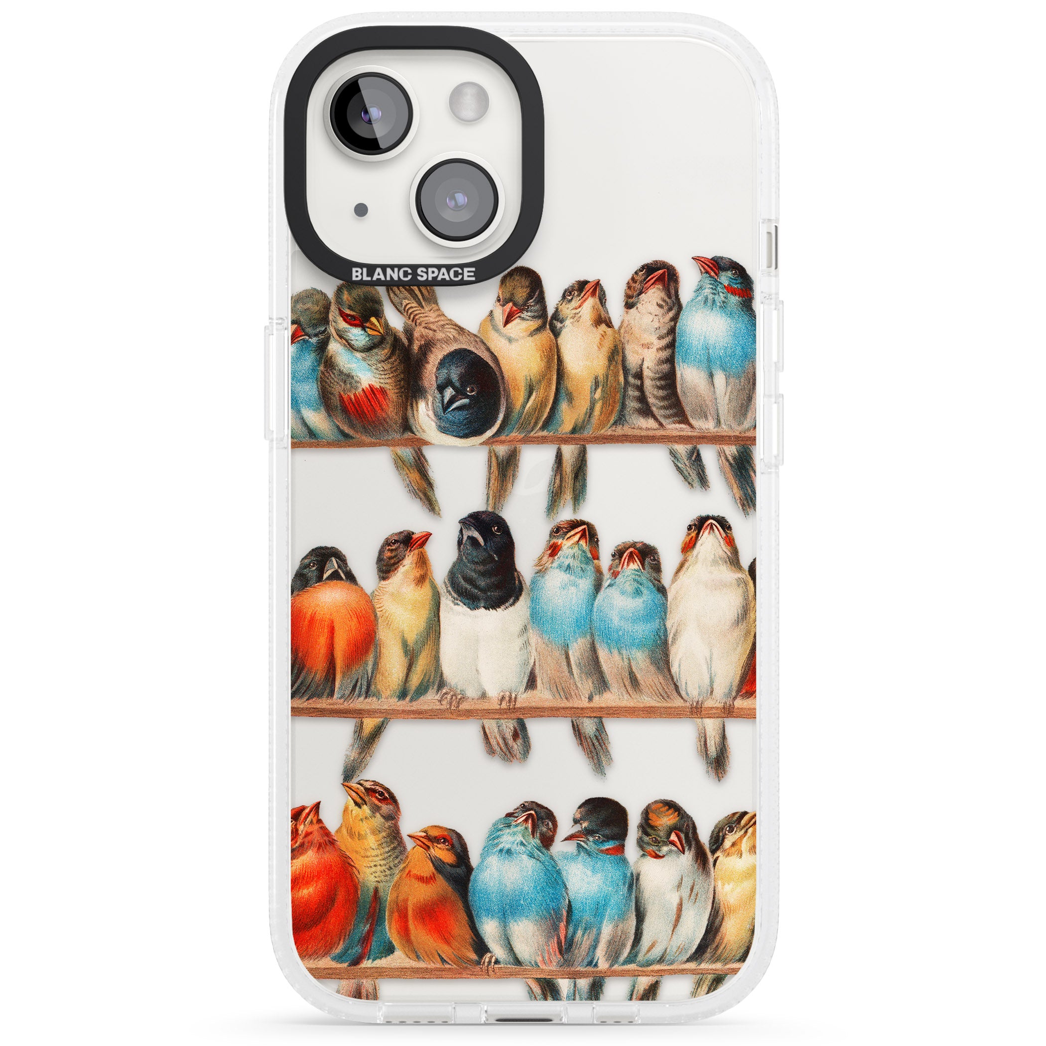 A Perch of Birds iPhone 15 / 14 / 13 Clear Case Impact Air - Blanc Space