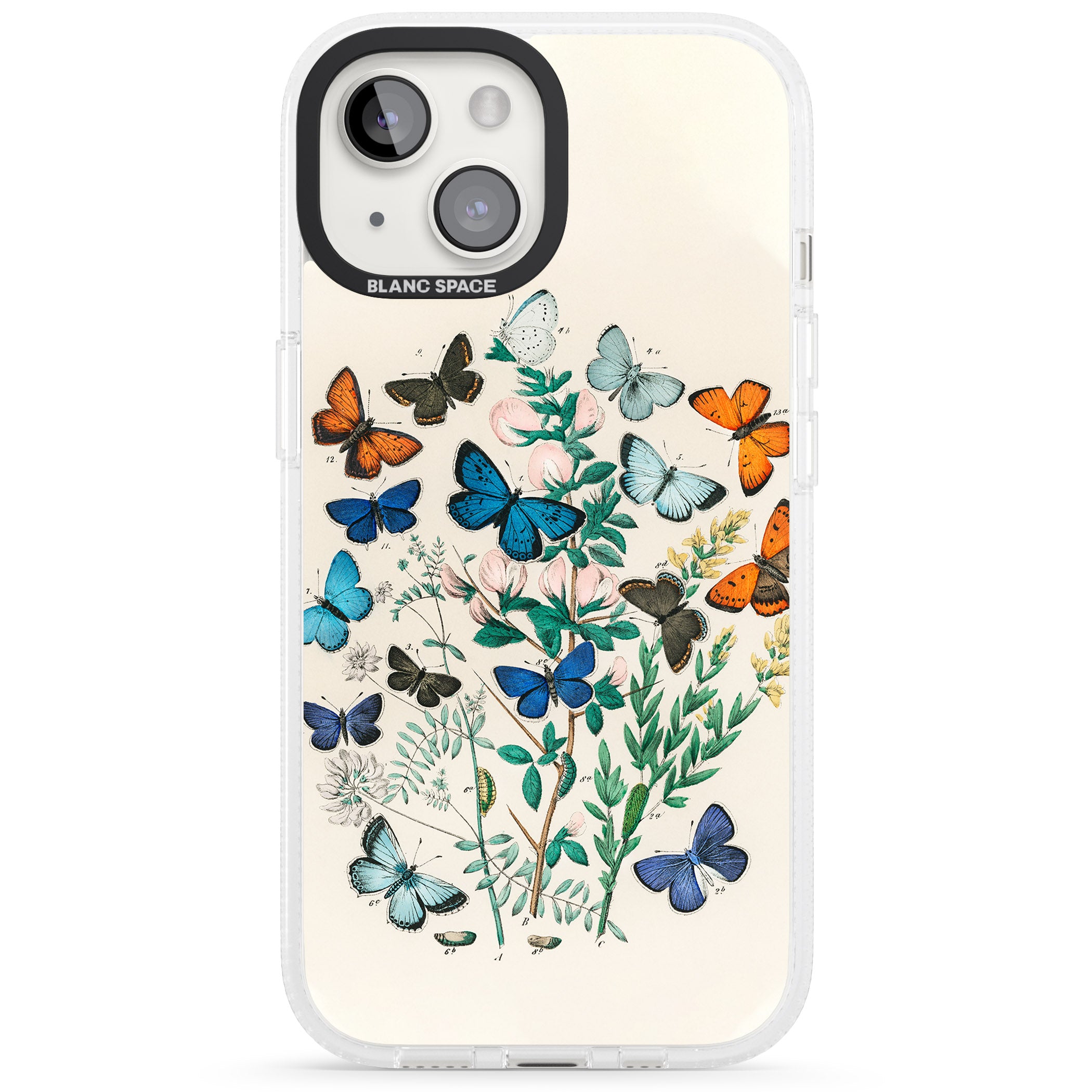 European Butterflies iPhone 15 / 14 / 13 Clear Case Impact Air - Blanc Space