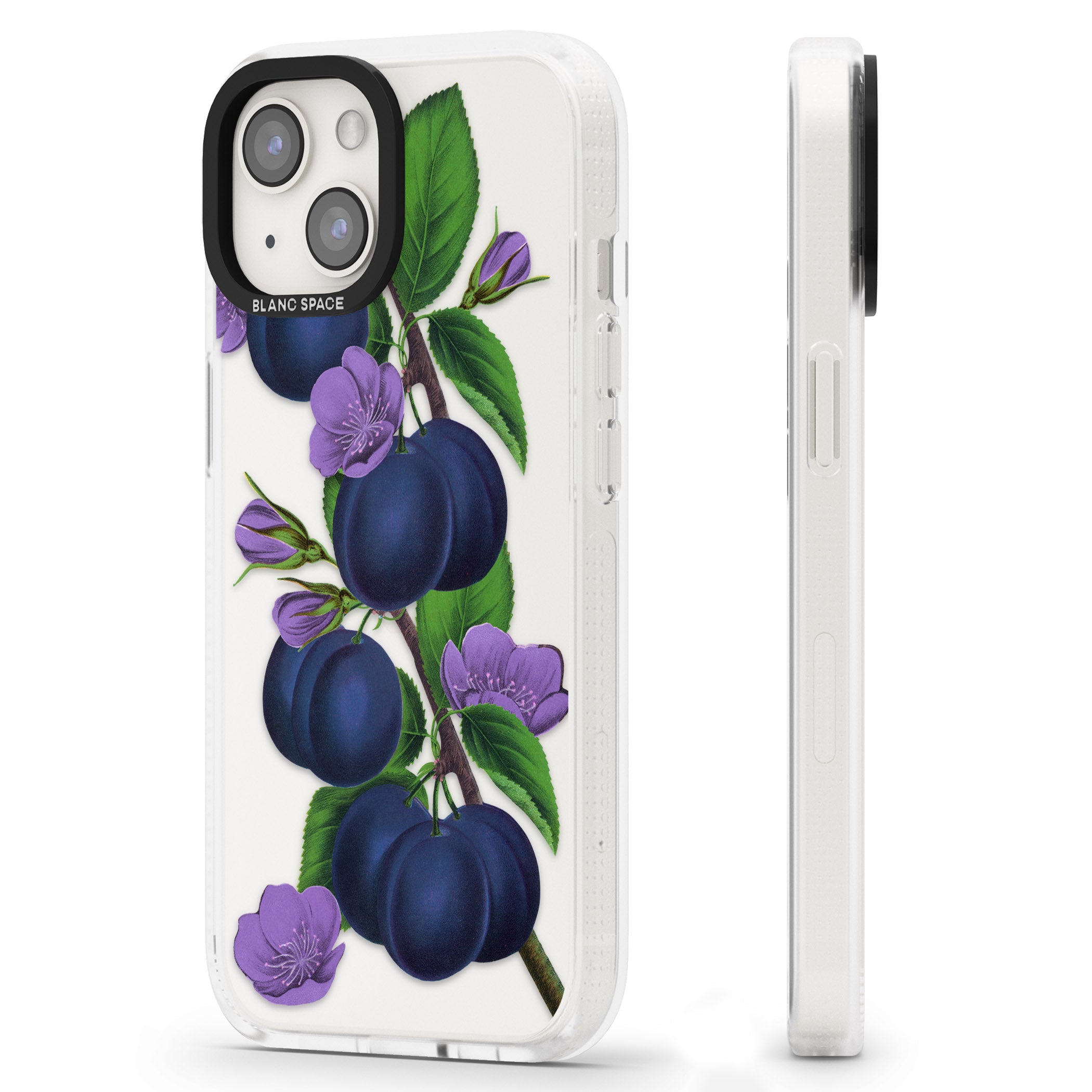 Vintage Painted Plums iPhone 15 / 14 / 13 Clear Case Impact Air - Blanc Space