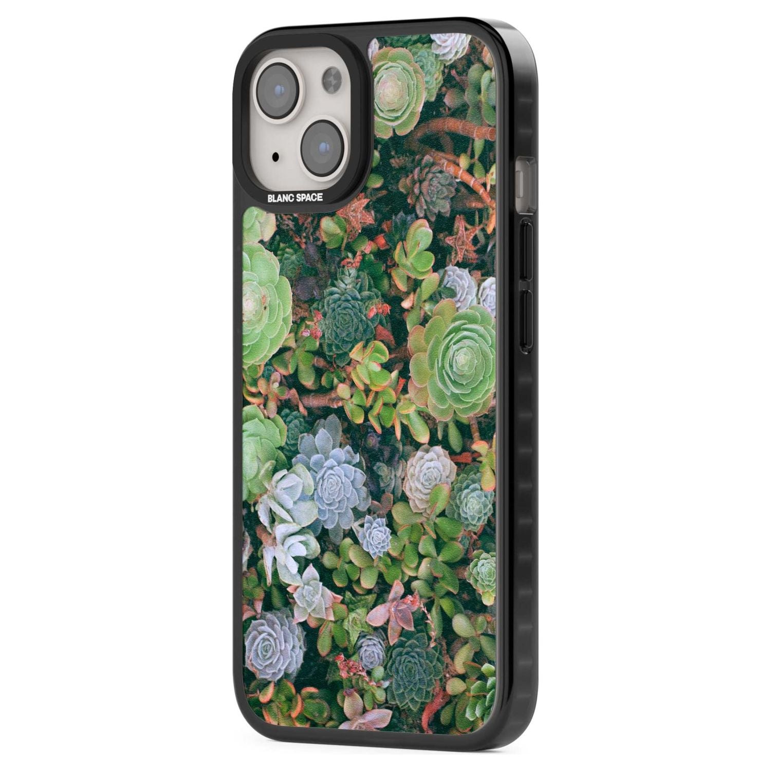 Colourful Succulents Phone Case iPhone 15 Pro Max / Black Impact Case,iPhone 15 Plus / Black Impact Case,iPhone 15 Pro / Black Impact Case,iPhone 15 / Black Impact Case,iPhone 15 Pro Max / Impact Case,iPhone 15 Plus / Impact Case,iPhone 15 Pro / Impact Case,iPhone 15 / Impact Case,iPhone 15 Pro Max / Magsafe Black Impact Case,iPhone 15 Plus / Magsafe Black Impact Case,iPhone 15 Pro / Magsafe Black Impact Case,iPhone 15 / Magsafe Black Impact Case,iPhone 14 Pro Max / Black Impact Case,iPhone 14 Plus / Black