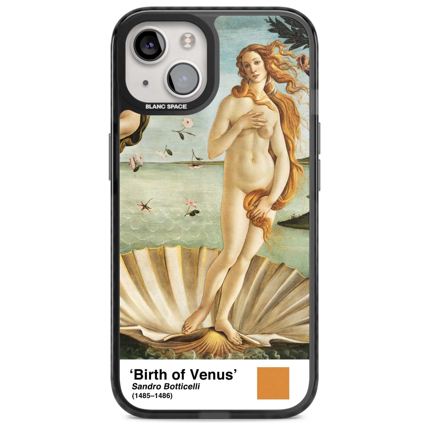 The Birth Of Venus