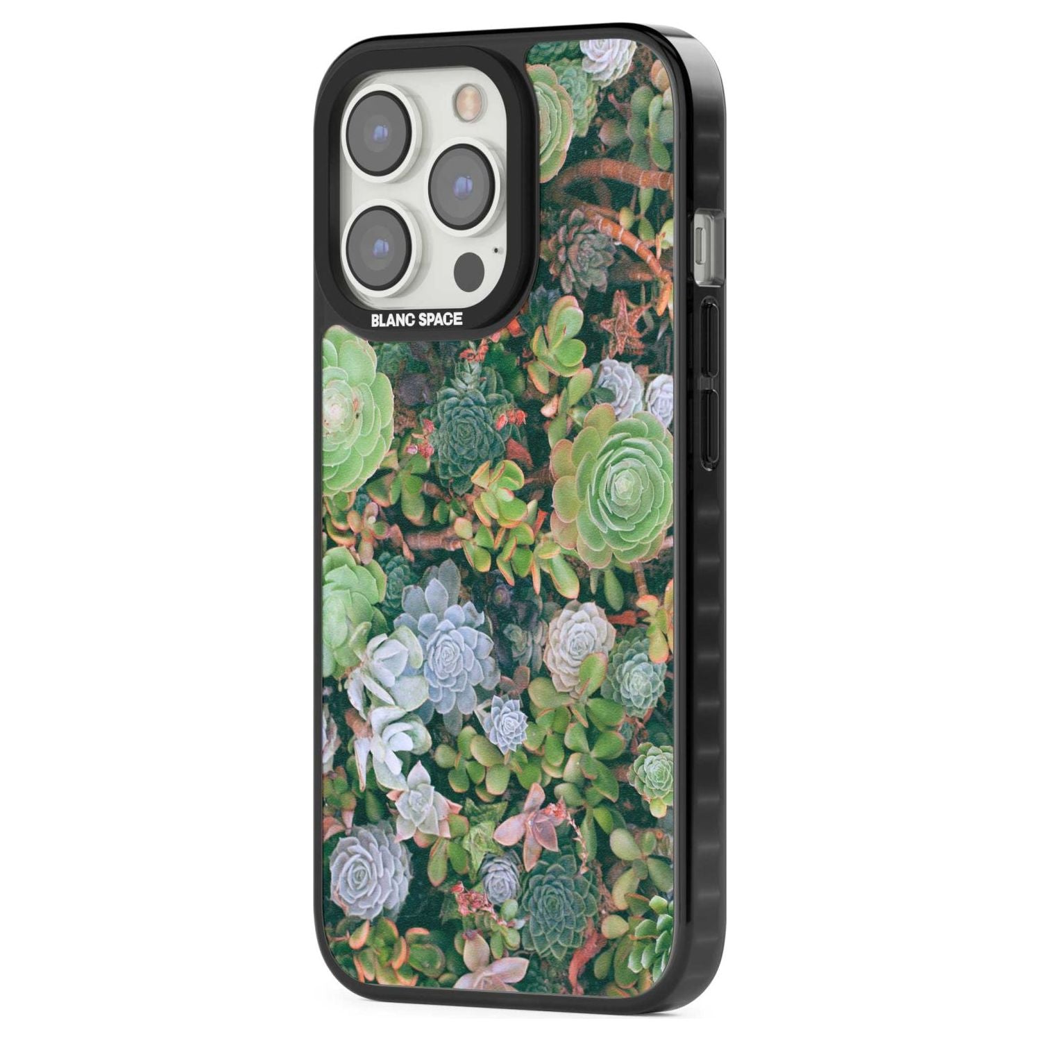 Colourful Succulents Phone Case iPhone 15 Pro Max / Black Impact Case,iPhone 15 Plus / Black Impact Case,iPhone 15 Pro / Black Impact Case,iPhone 15 / Black Impact Case,iPhone 15 Pro Max / Impact Case,iPhone 15 Plus / Impact Case,iPhone 15 Pro / Impact Case,iPhone 15 / Impact Case,iPhone 15 Pro Max / Magsafe Black Impact Case,iPhone 15 Plus / Magsafe Black Impact Case,iPhone 15 Pro / Magsafe Black Impact Case,iPhone 15 / Magsafe Black Impact Case,iPhone 14 Pro Max / Black Impact Case,iPhone 14 Plus / Black