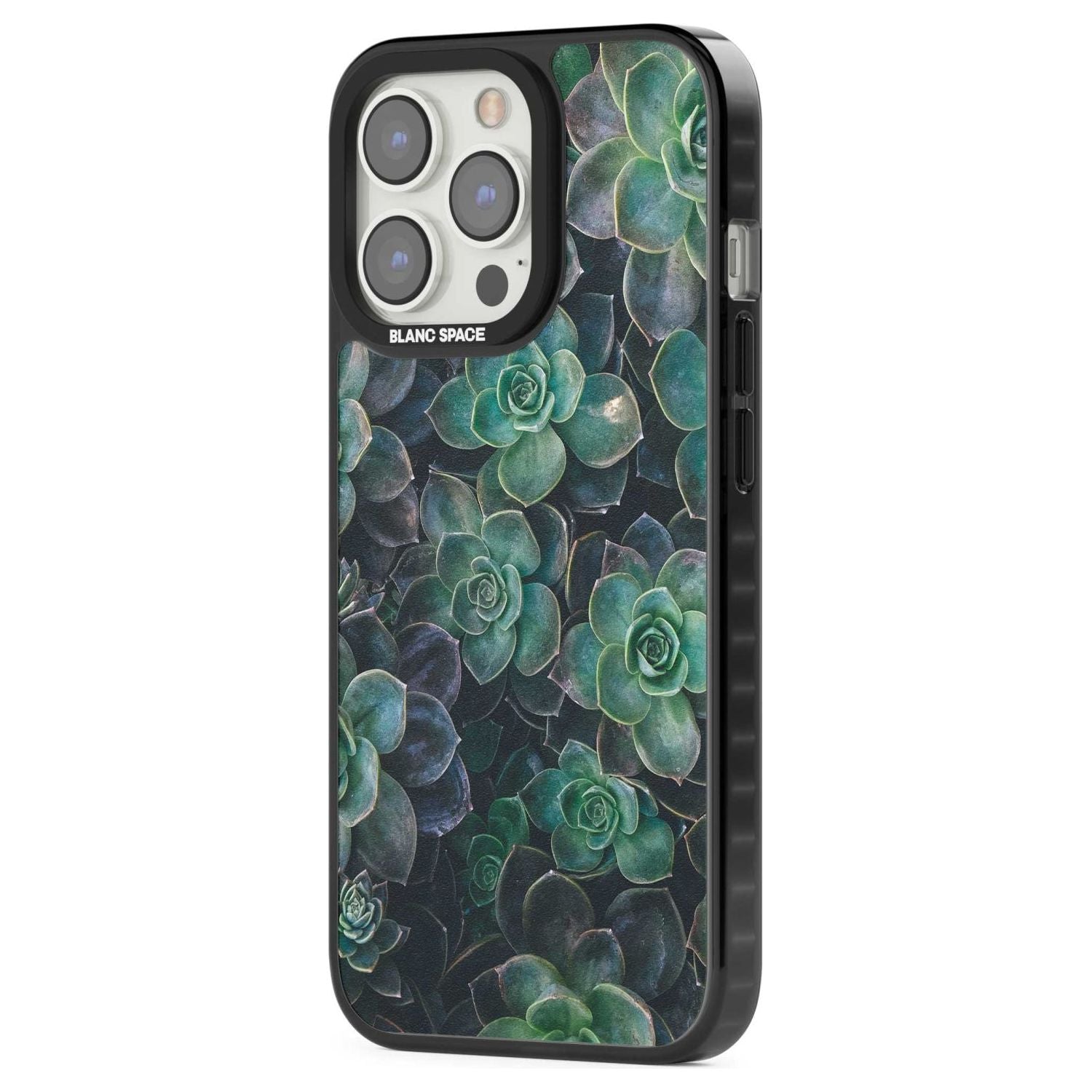 Succulent Bloom Botanical
