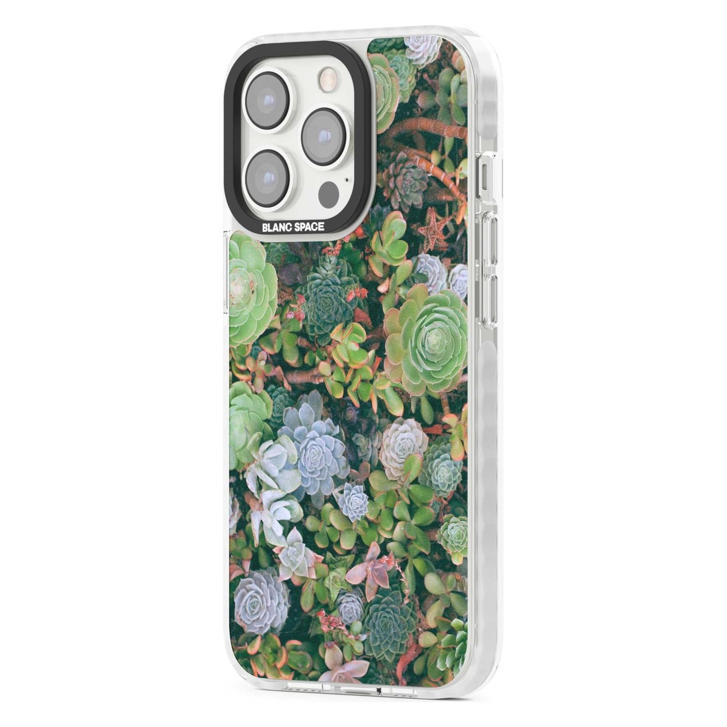Colourful Succulents Phone Case iPhone 15 Pro Max / Black Impact Case,iPhone 15 Plus / Black Impact Case,iPhone 15 Pro / Black Impact Case,iPhone 15 / Black Impact Case,iPhone 15 Pro Max / Impact Case,iPhone 15 Plus / Impact Case,iPhone 15 Pro / Impact Case,iPhone 15 / Impact Case,iPhone 15 Pro Max / Magsafe Black Impact Case,iPhone 15 Plus / Magsafe Black Impact Case,iPhone 15 Pro / Magsafe Black Impact Case,iPhone 15 / Magsafe Black Impact Case,iPhone 14 Pro Max / Black Impact Case,iPhone 14 Plus / Black