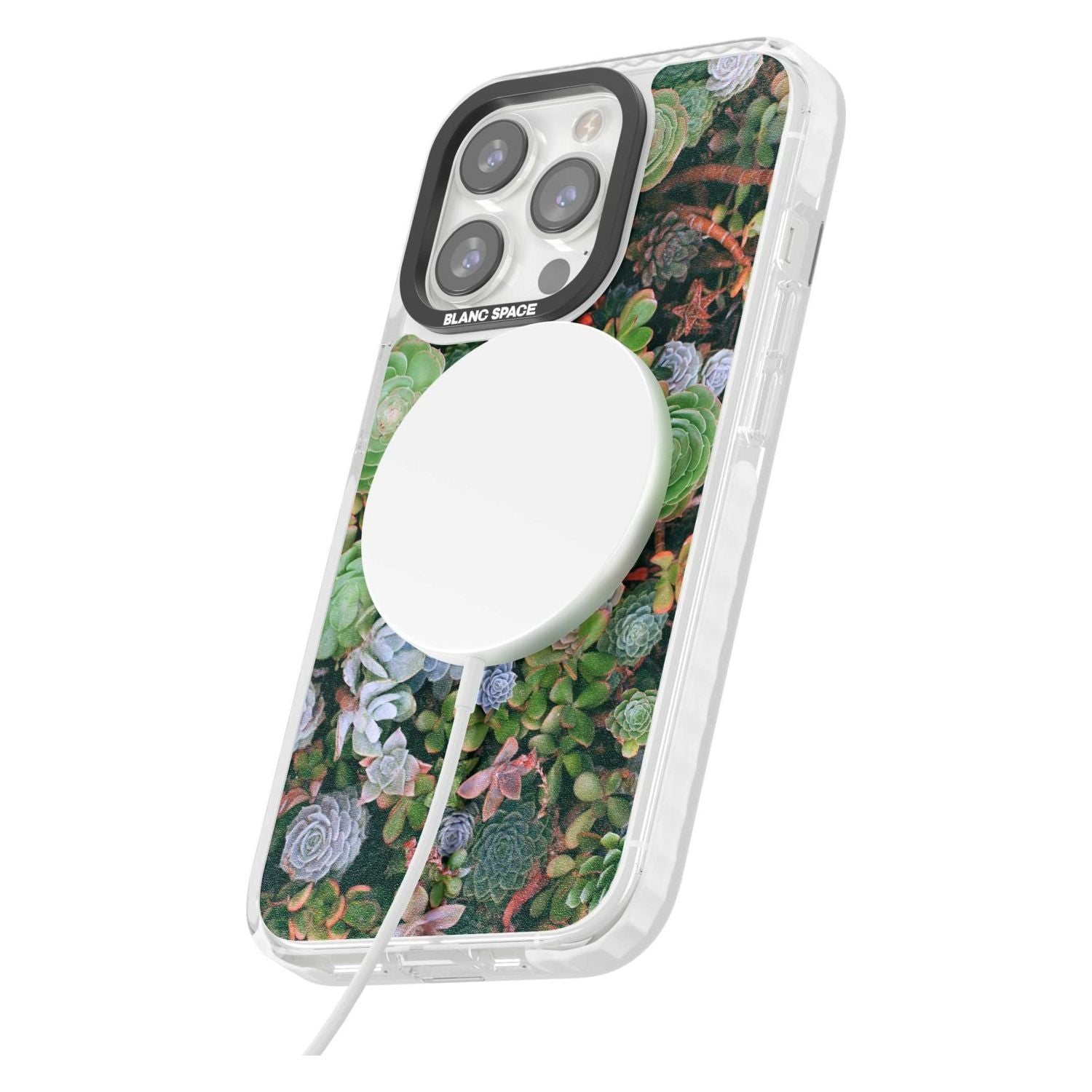 Colourful Succulents Phone Case iPhone 15 Pro Max / Black Impact Case,iPhone 15 Plus / Black Impact Case,iPhone 15 Pro / Black Impact Case,iPhone 15 / Black Impact Case,iPhone 15 Pro Max / Impact Case,iPhone 15 Plus / Impact Case,iPhone 15 Pro / Impact Case,iPhone 15 / Impact Case,iPhone 15 Pro Max / Magsafe Black Impact Case,iPhone 15 Plus / Magsafe Black Impact Case,iPhone 15 Pro / Magsafe Black Impact Case,iPhone 15 / Magsafe Black Impact Case,iPhone 14 Pro Max / Black Impact Case,iPhone 14 Plus / Black