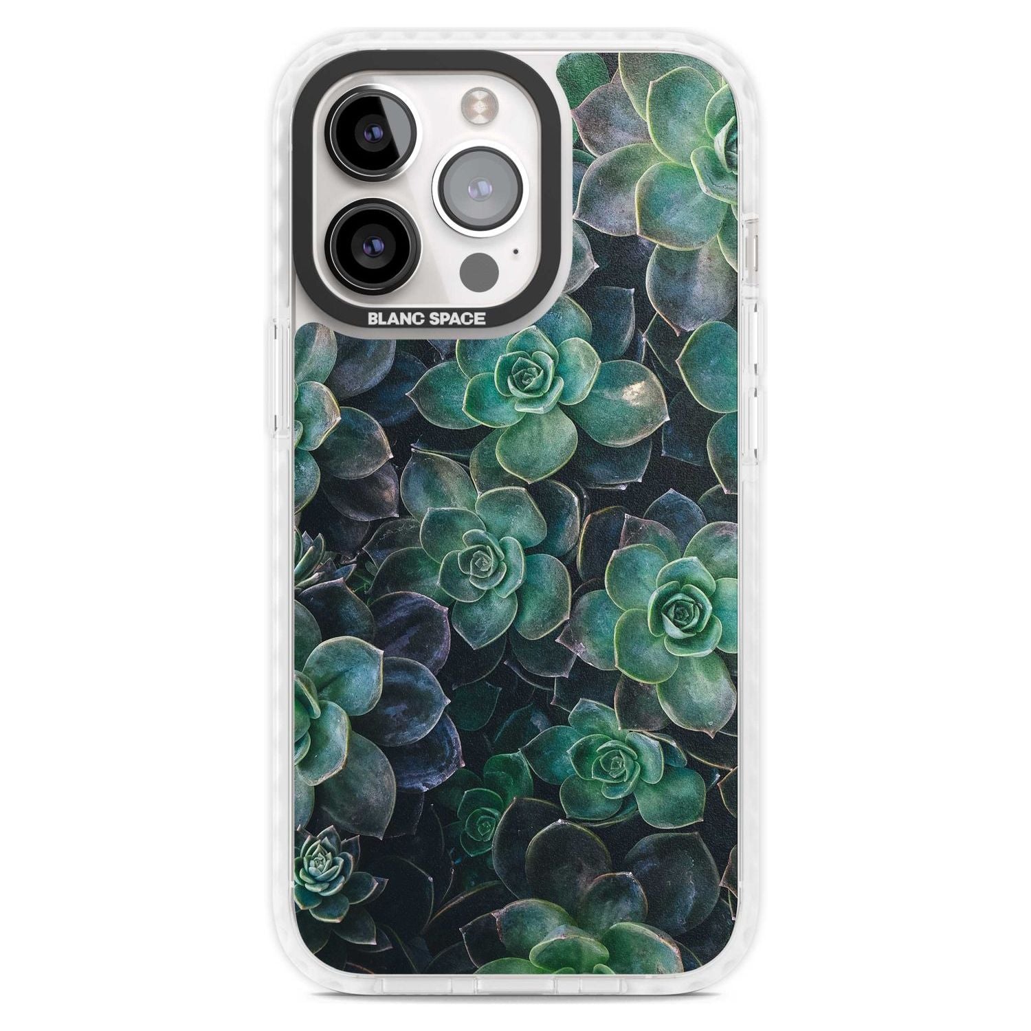 Succulent Bloom Botanical