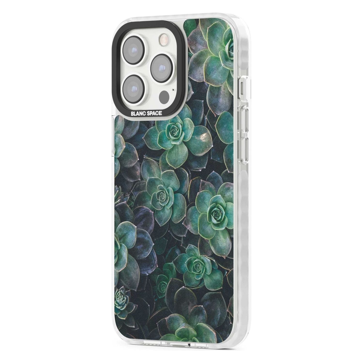 Succulent Bloom Botanical