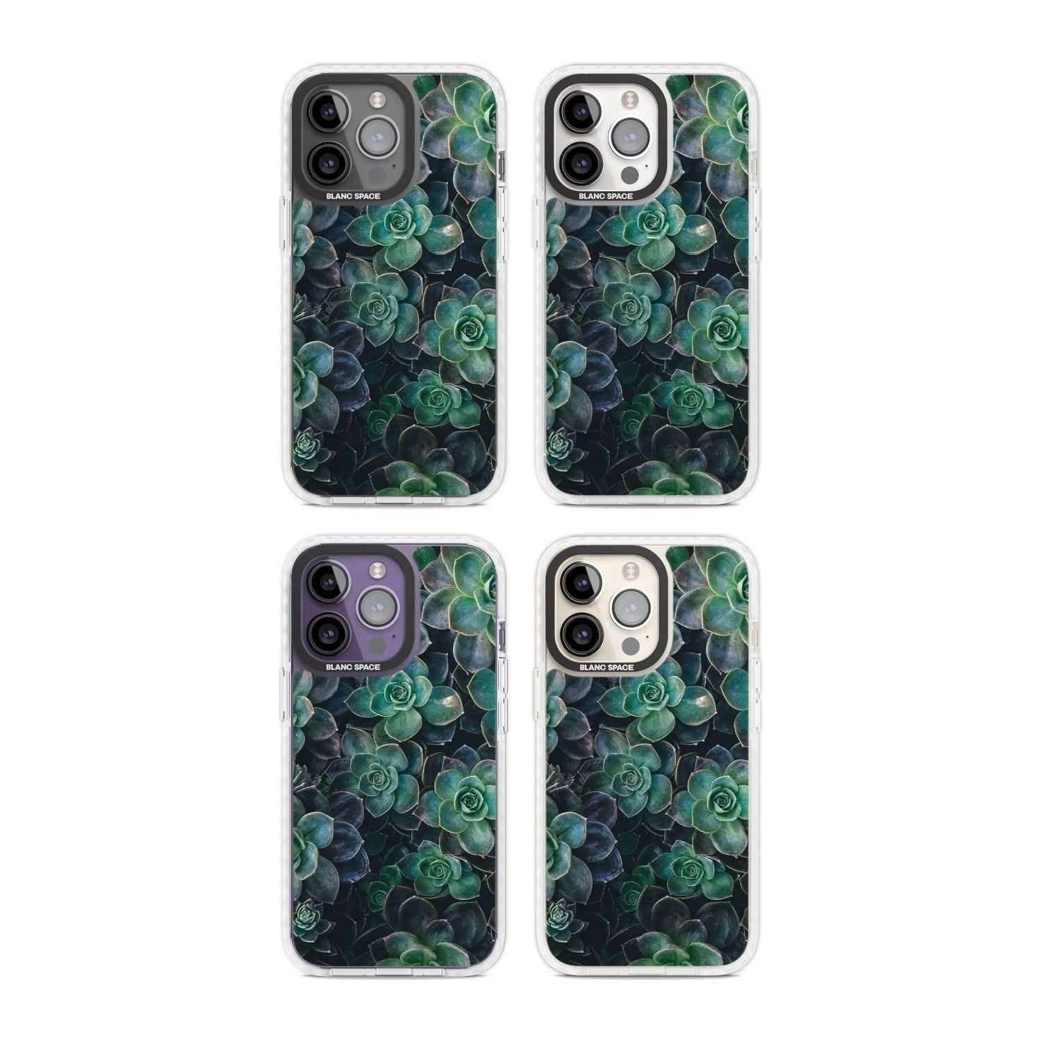 Succulent Bloom Botanical