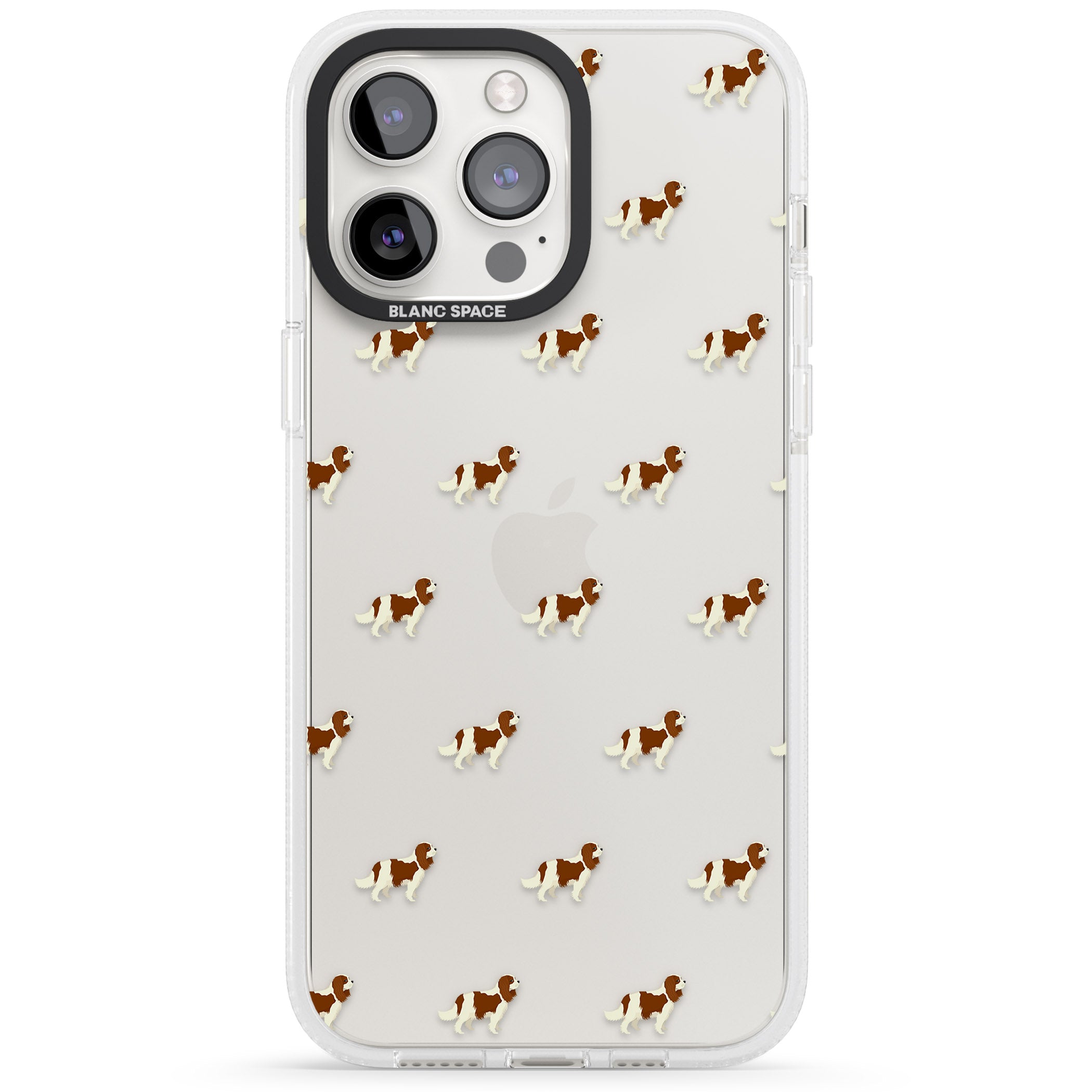 Cavalier King Charles Dog Pattern