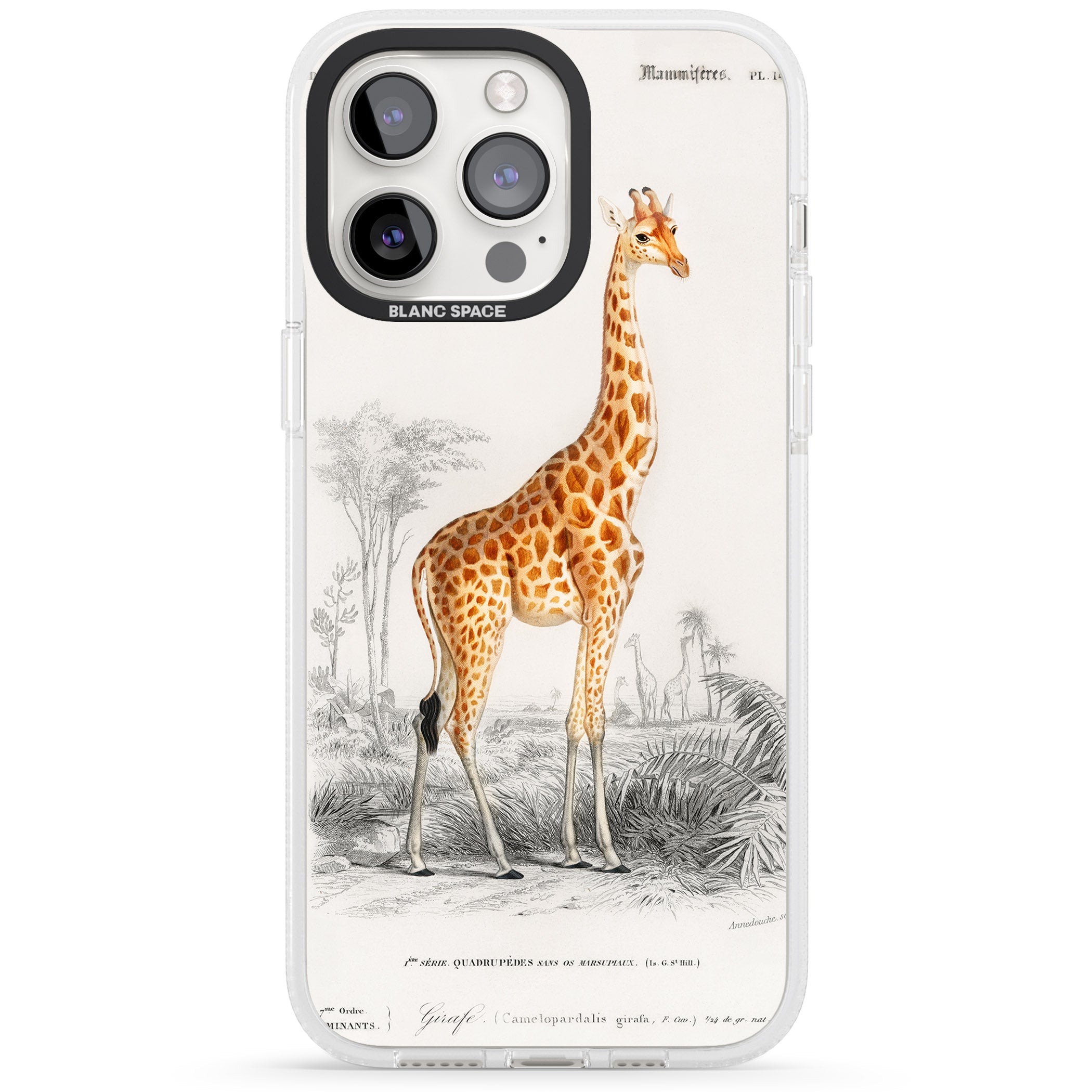 Vintage Giraffe Art iPhone 15 Pro Max / 15 Pro / 14 Pro Max / 14 Pro / 13 Pro Clear Case Impact Air - Blanc Space