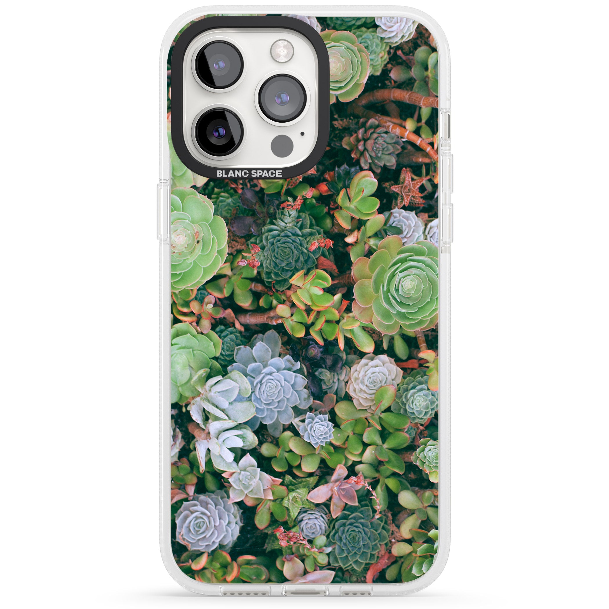 Colourful Succulents Photograph iPhone 15 Pro Max / 15 Pro / 14 Pro Max / 14 Pro / 13 Pro Clear Case Impact Air - Blanc Space