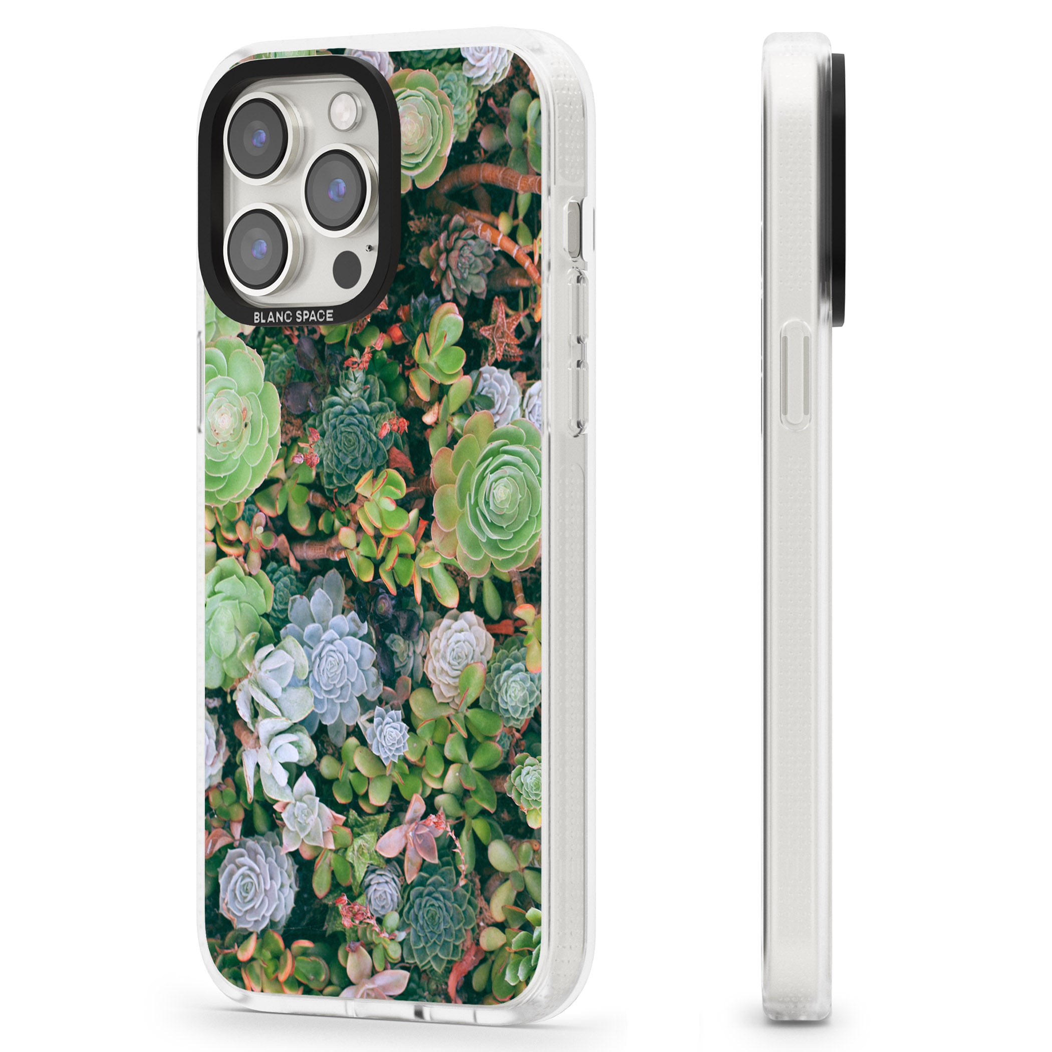 Colourful Succulents Photograph iPhone 15 Pro Max / 15 Pro / 14 Pro Max / 14 Pro / 13 Pro Clear Case Impact Air - Blanc Space